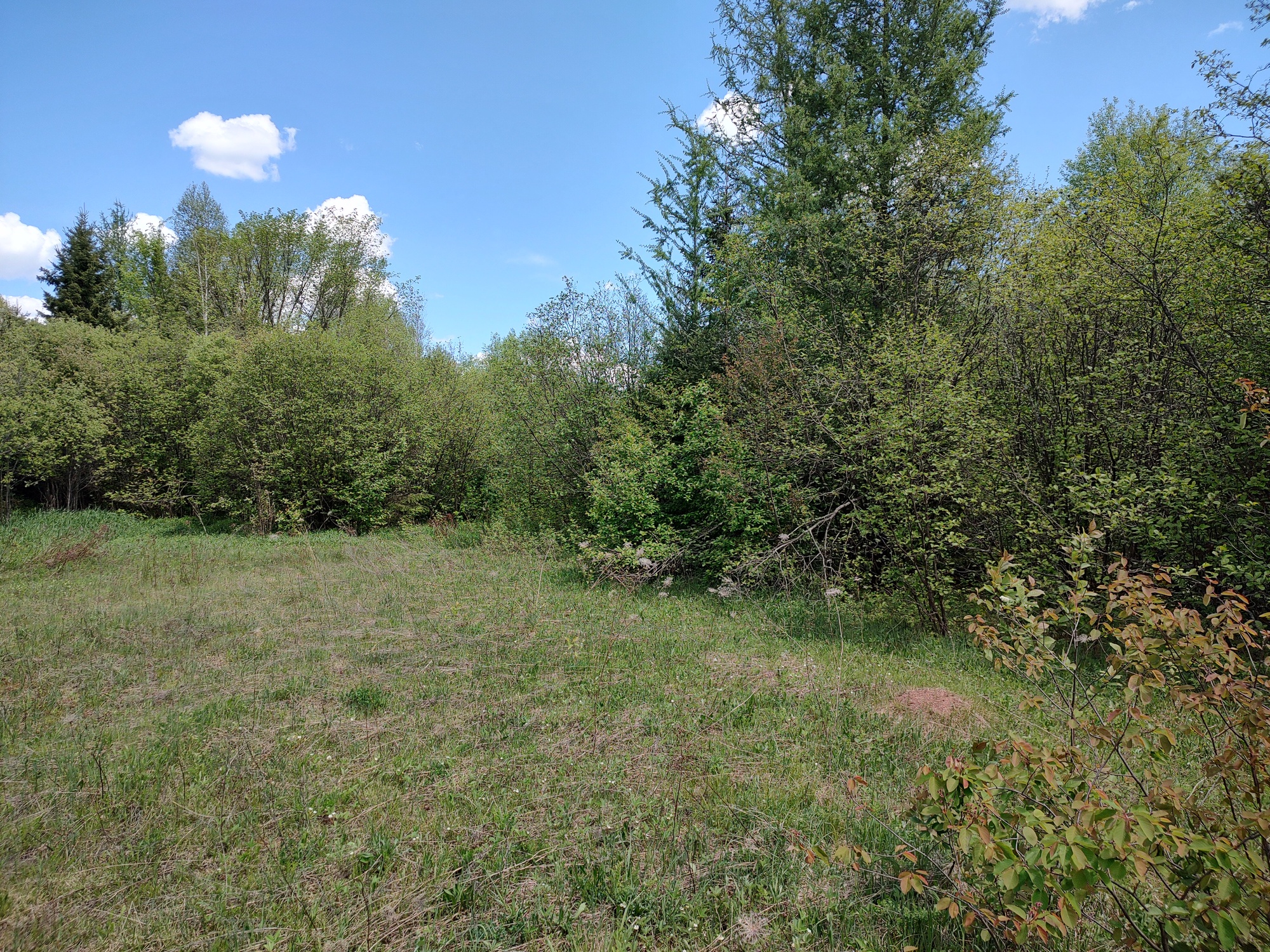 160 Acre Wilderness Retreat 50175391