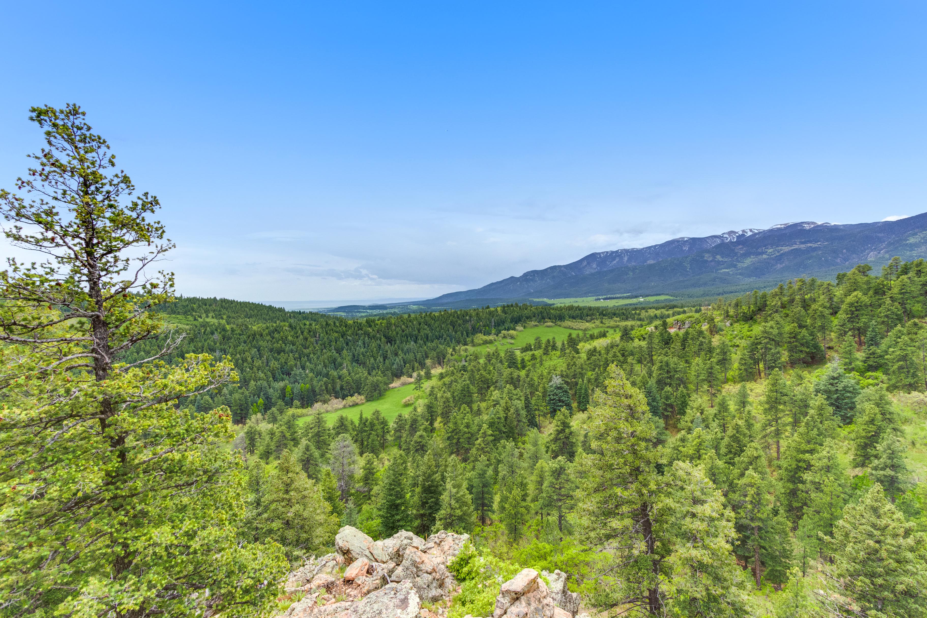 Elk Tooth Ranch