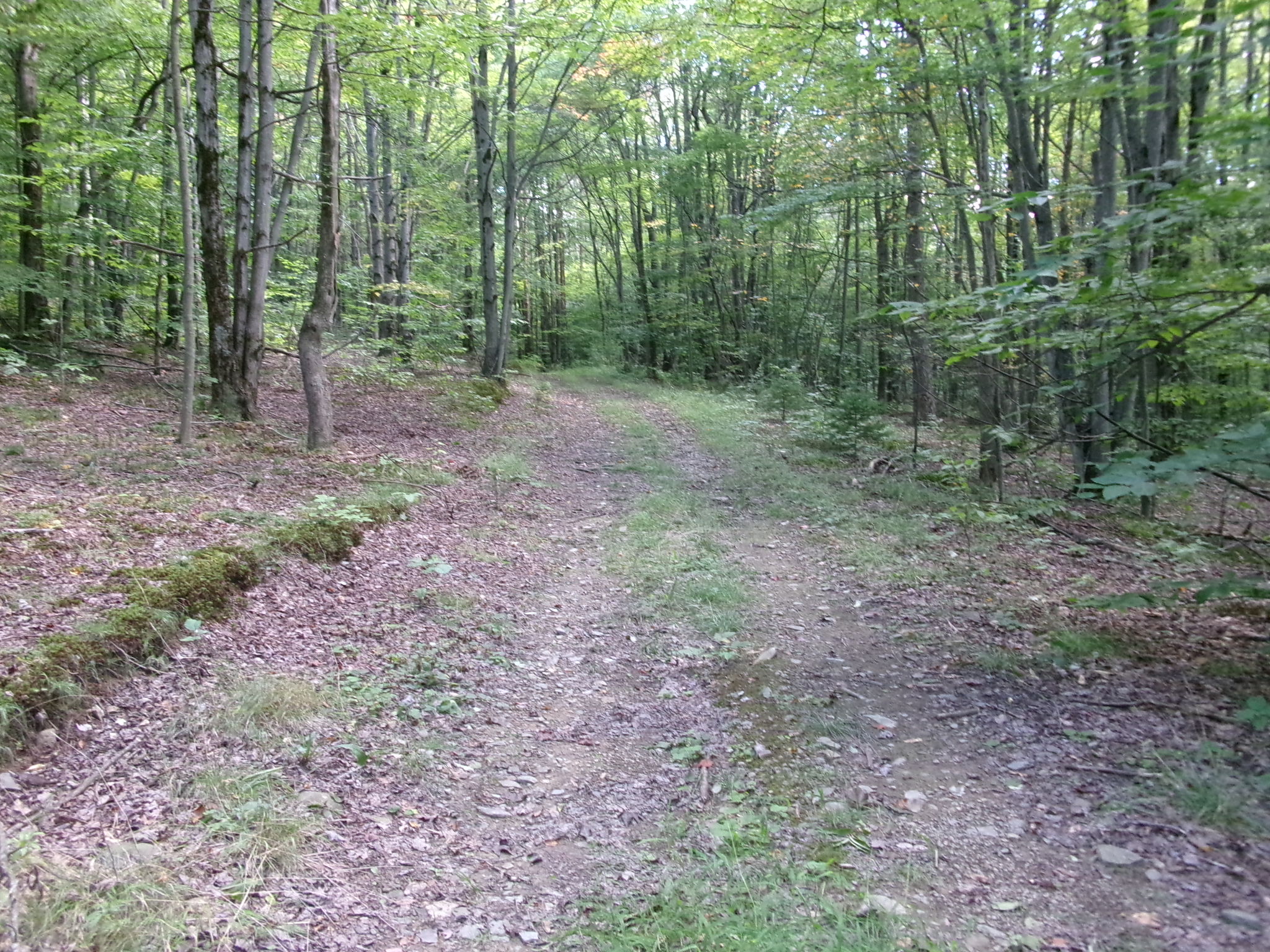 Listing Image 38