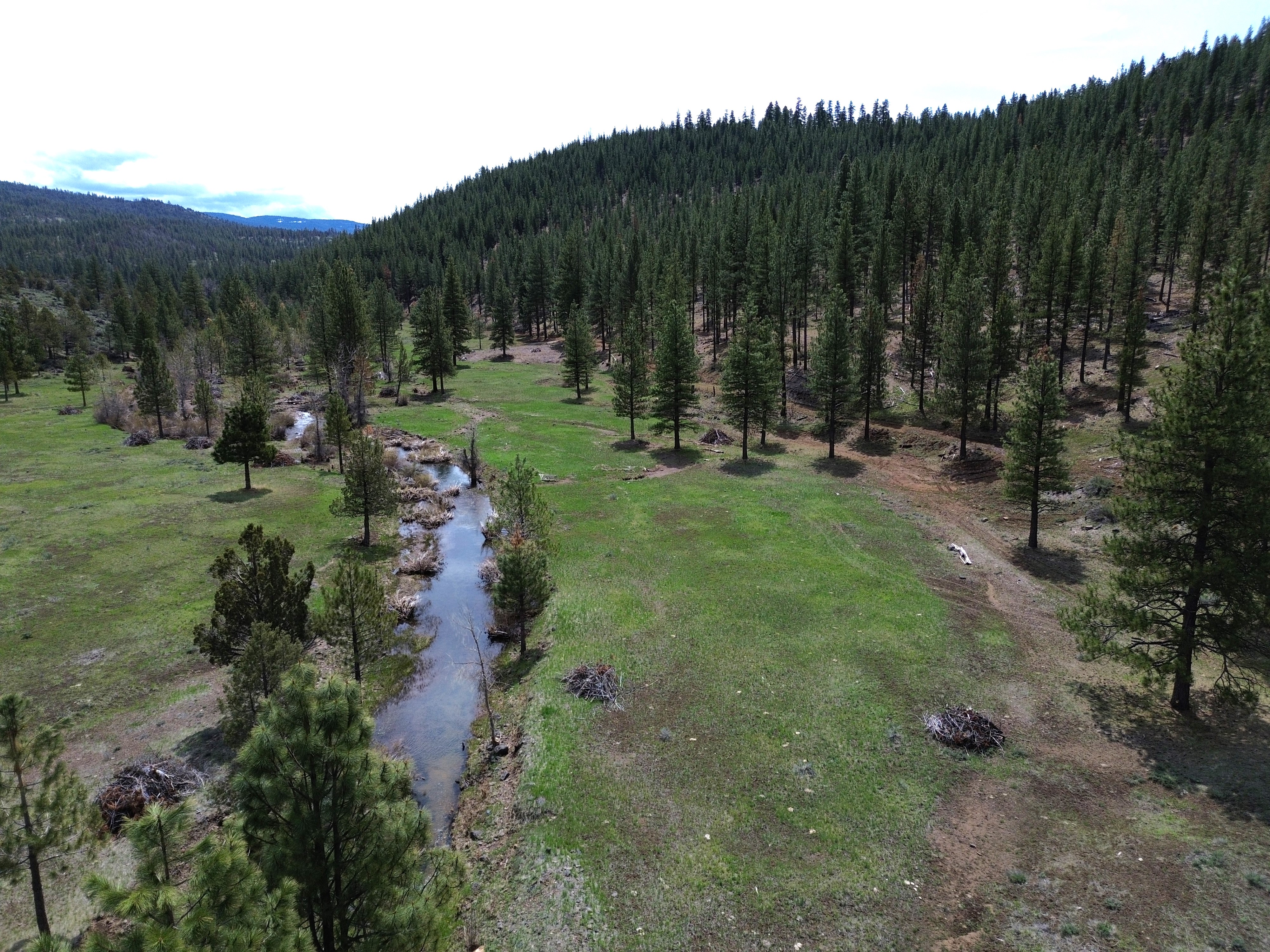 Johnson Creek Meadow