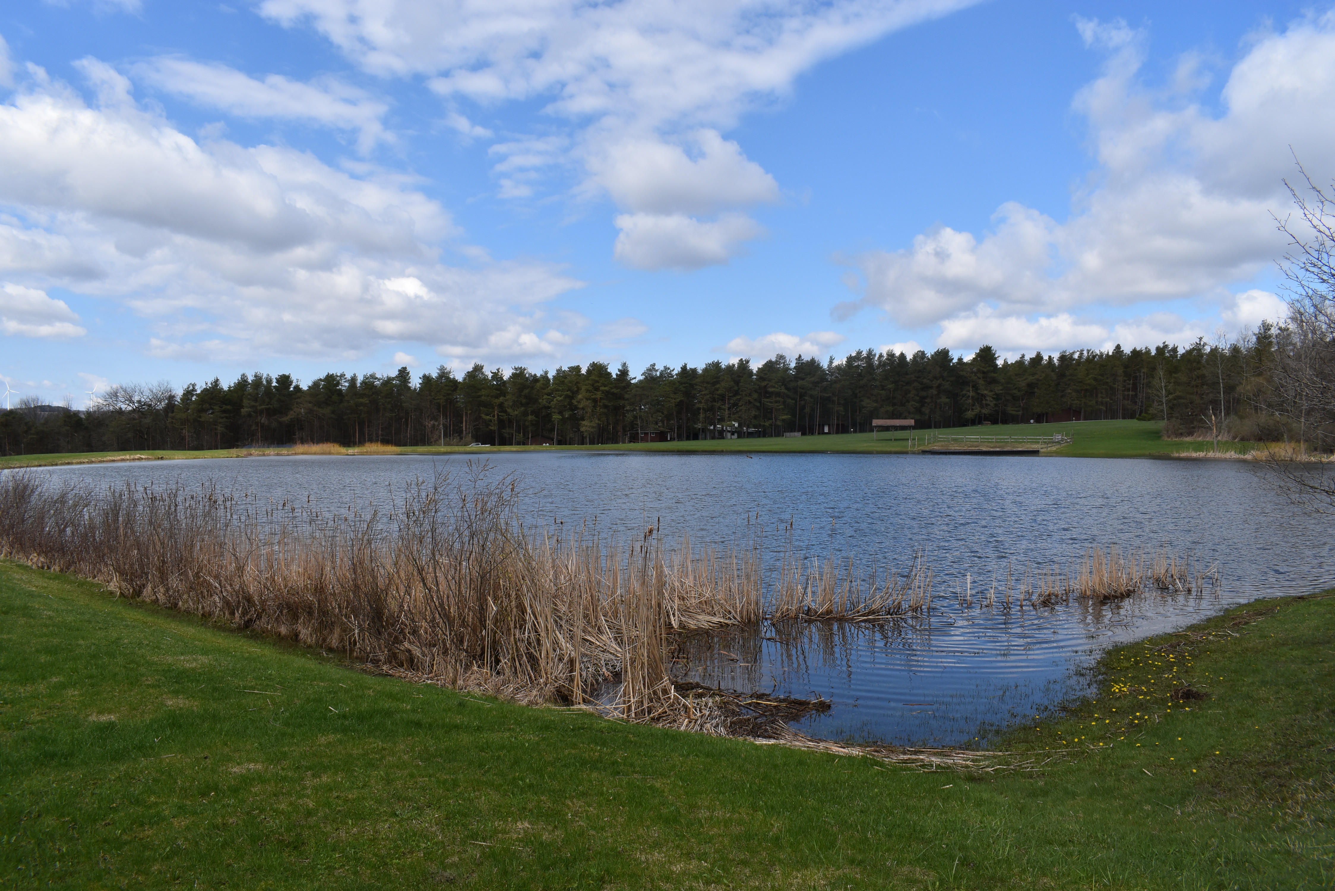 Listing Image 88