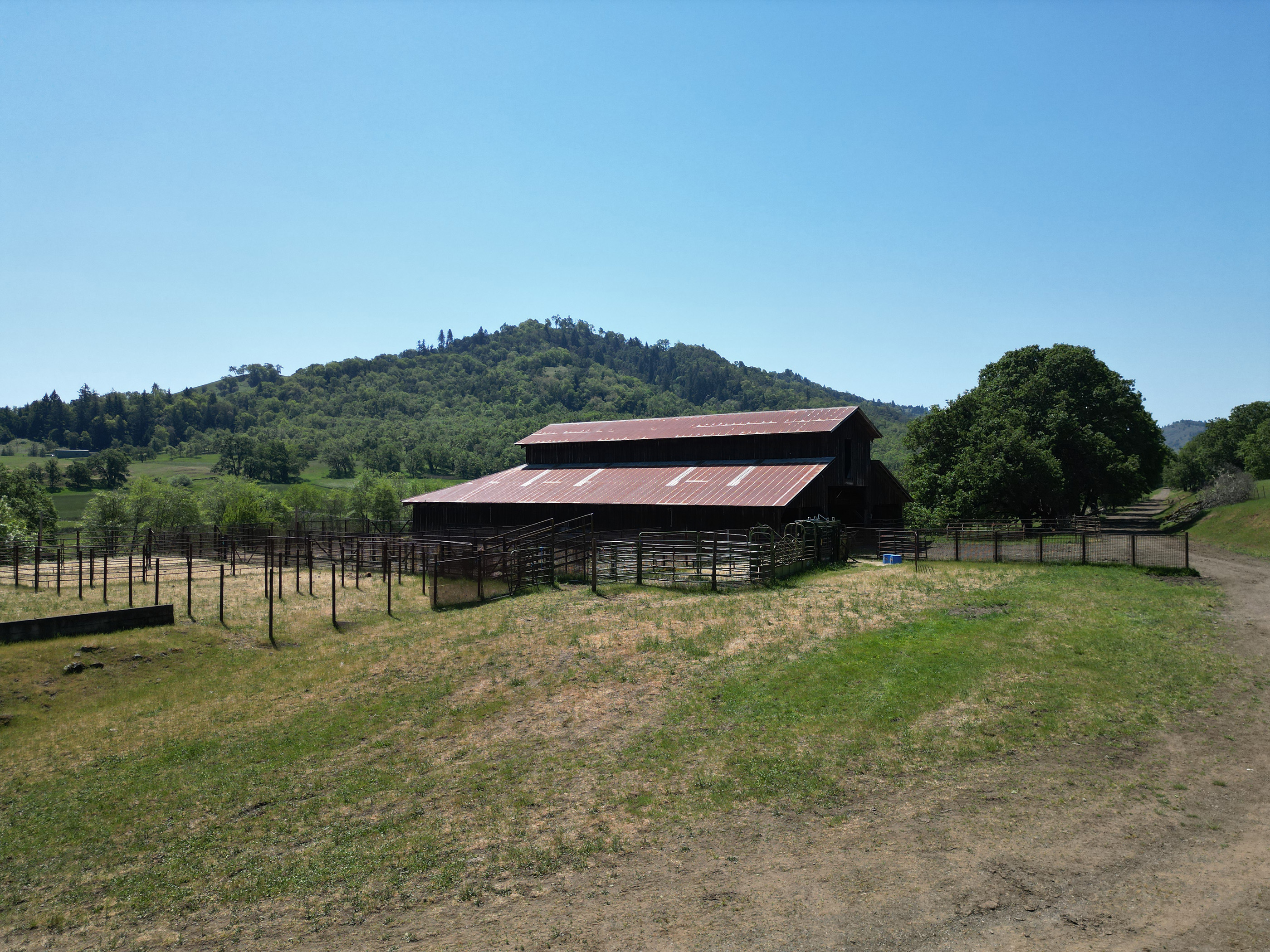 Listing Image 31