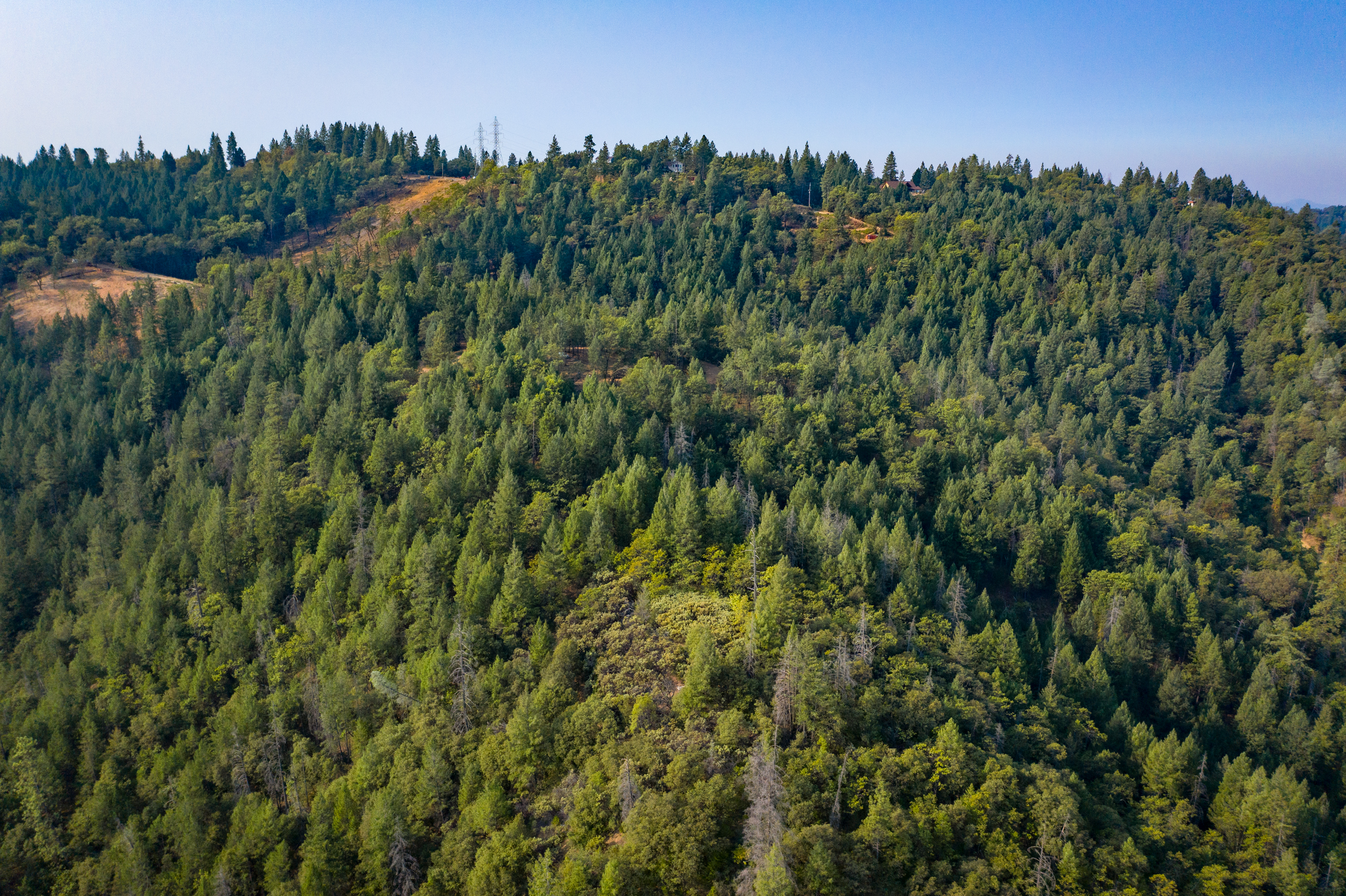 American River Camp Property