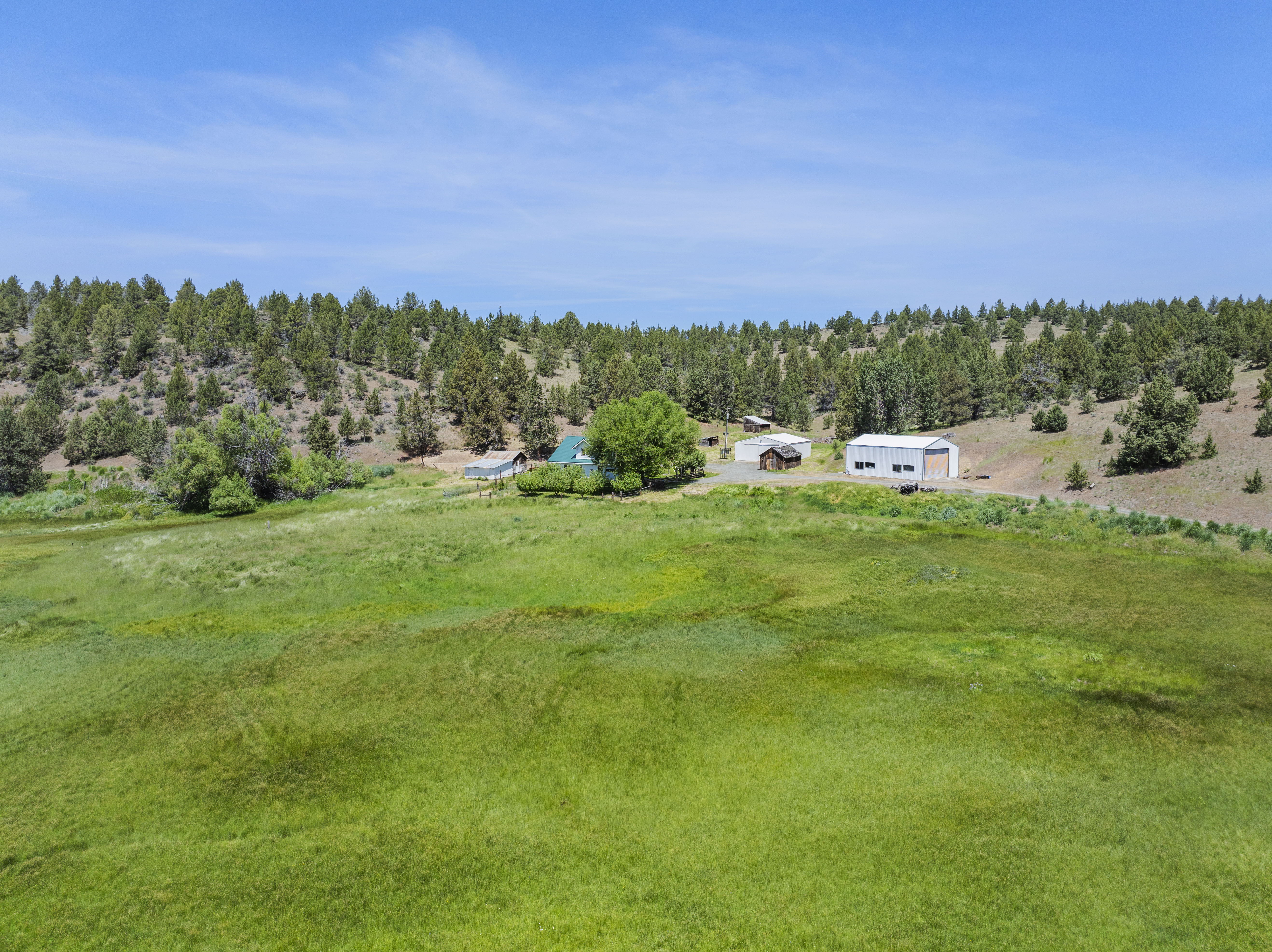 Listing Image 50