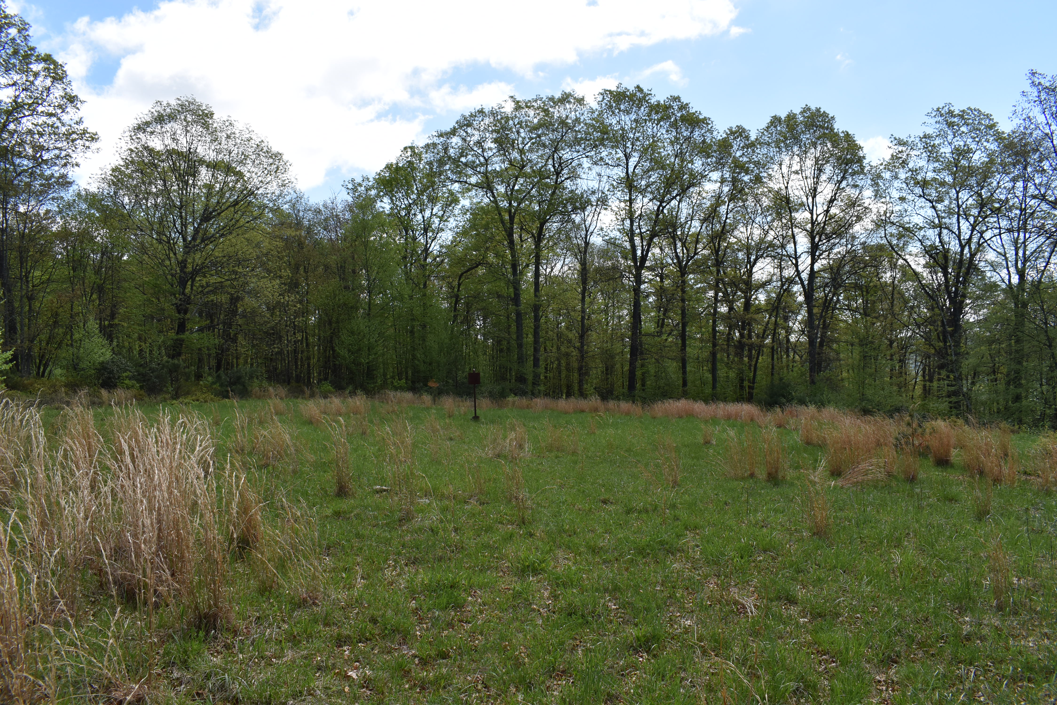 Grugan Hollow