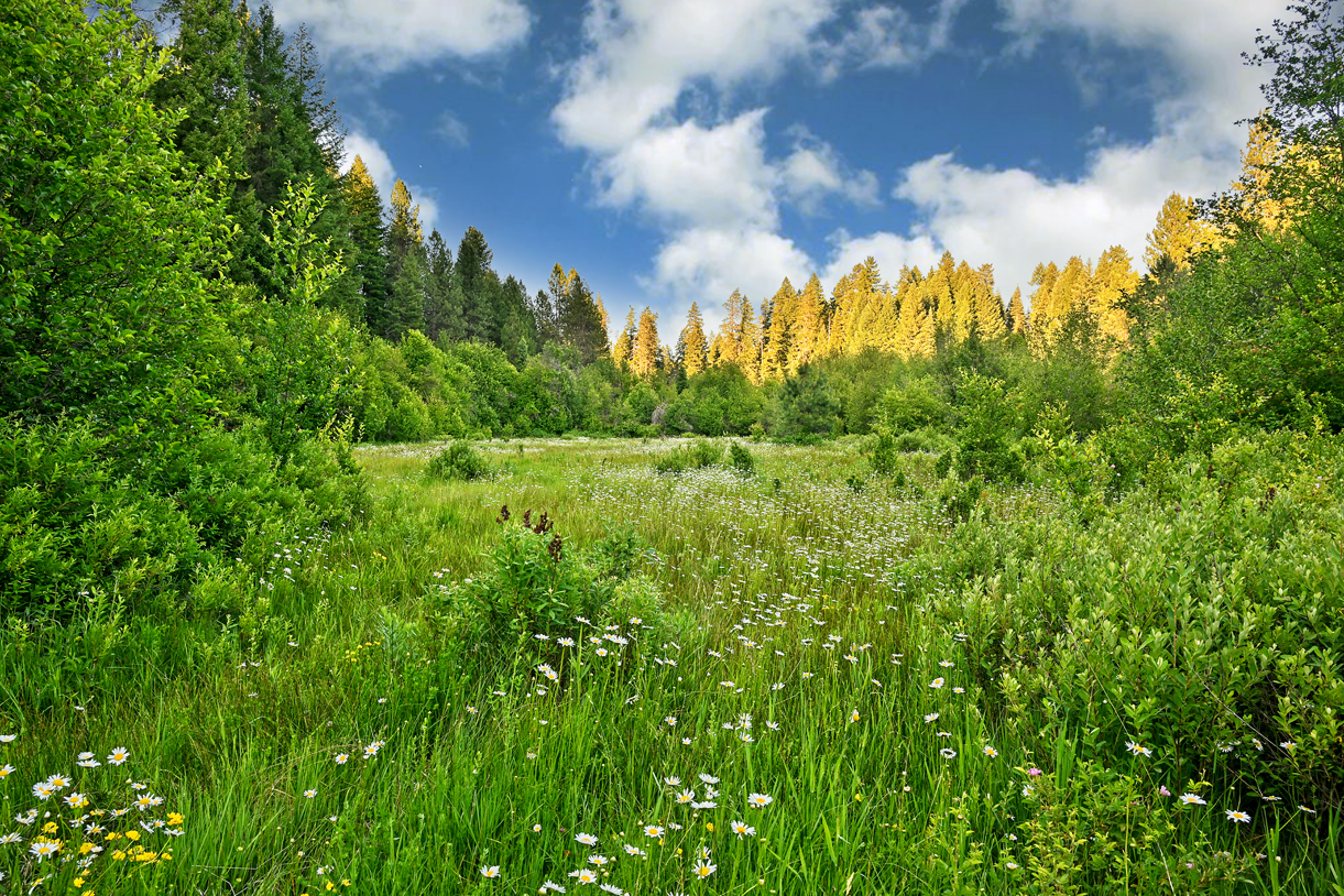 Inter Mountain Ranch