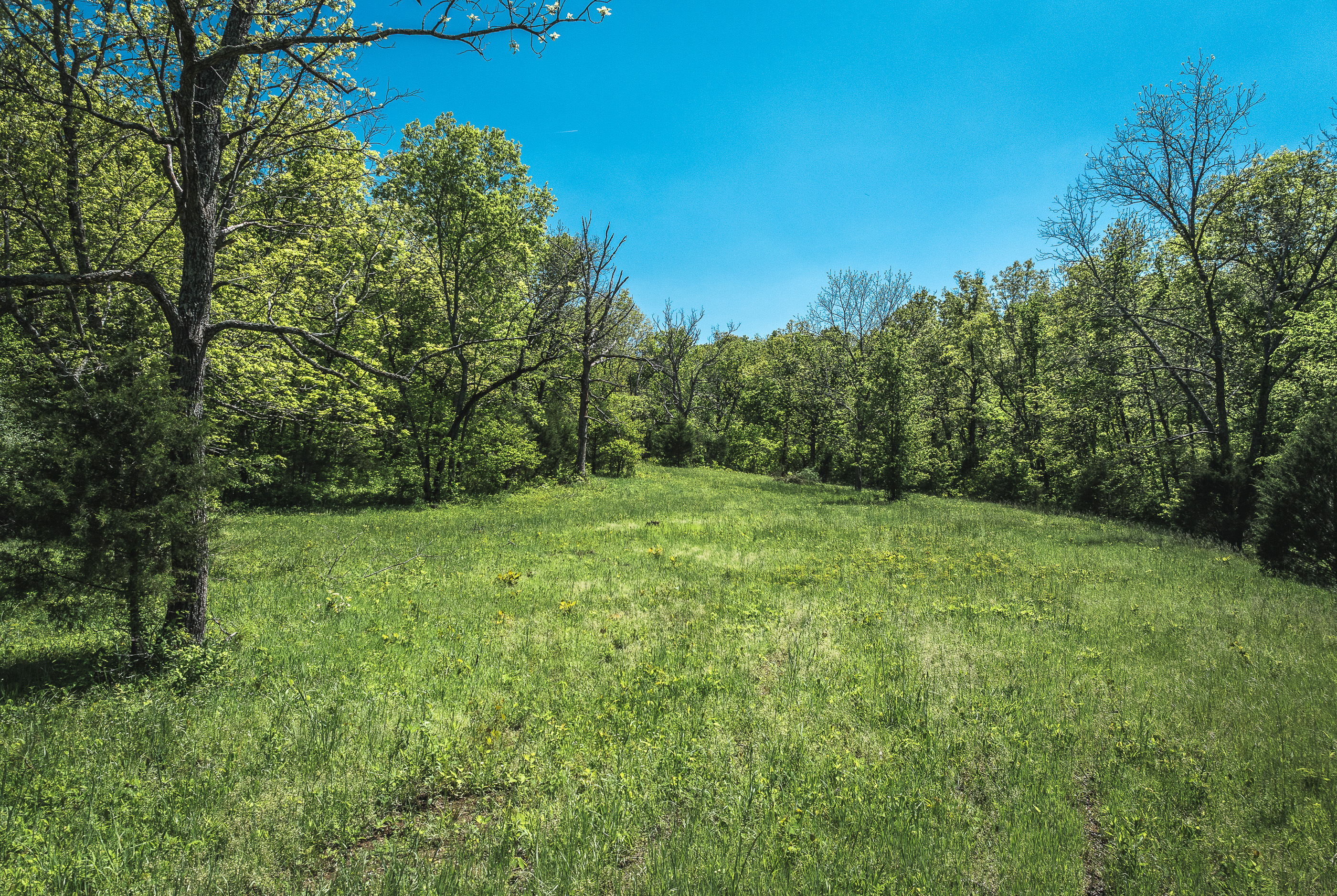 Listing Image 29