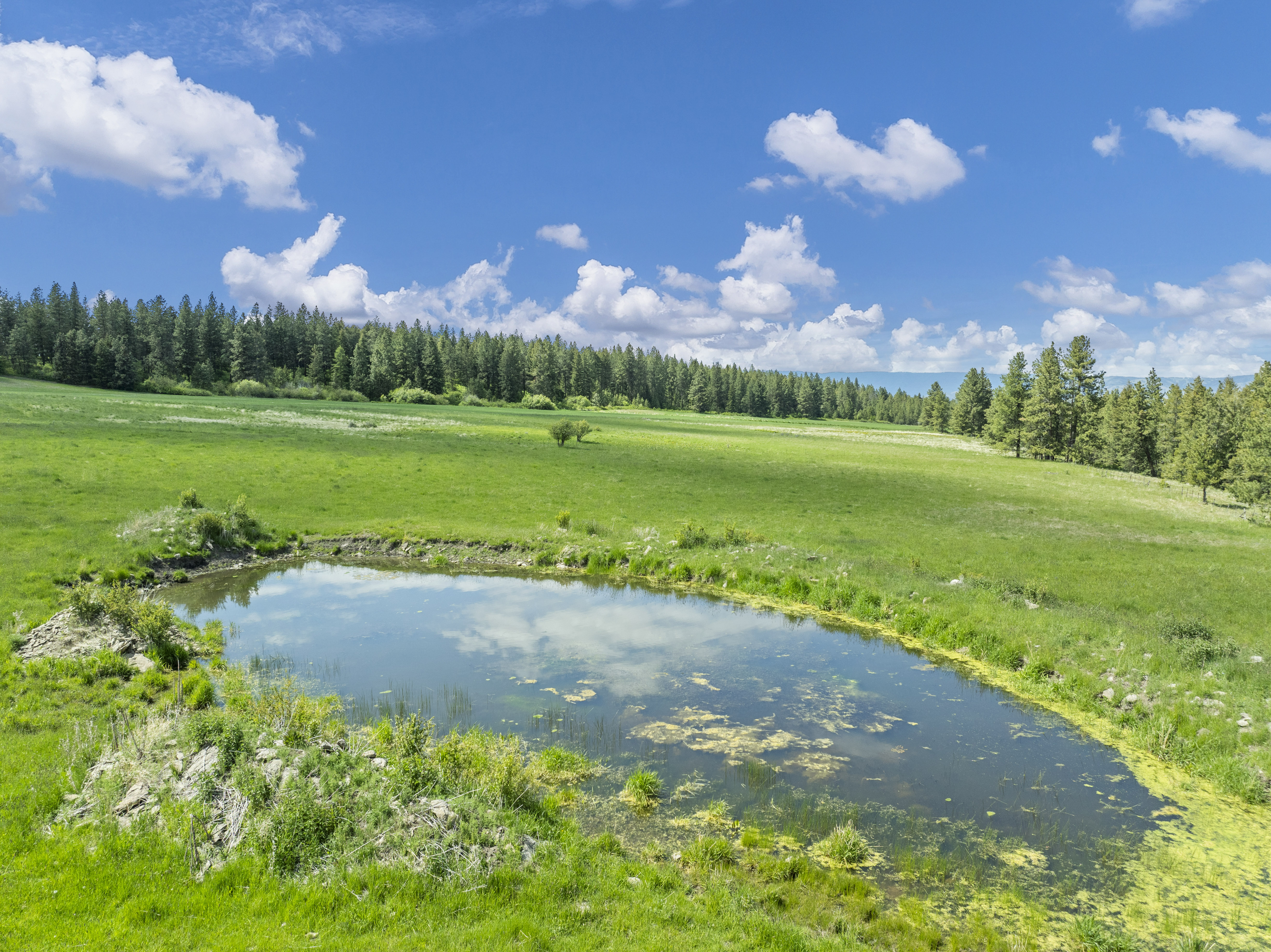 Buford Ridge Ranch