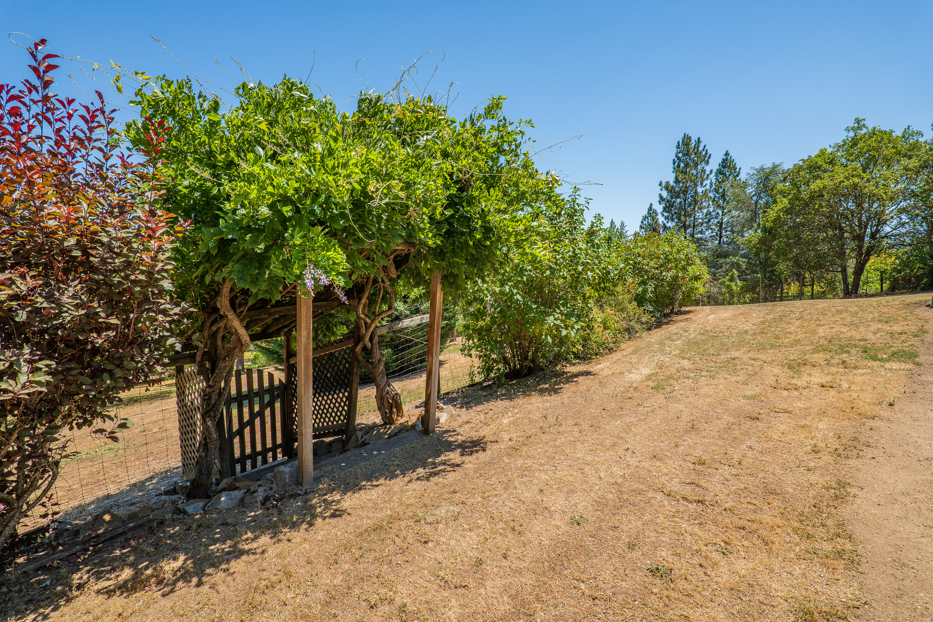 Listing Image 62