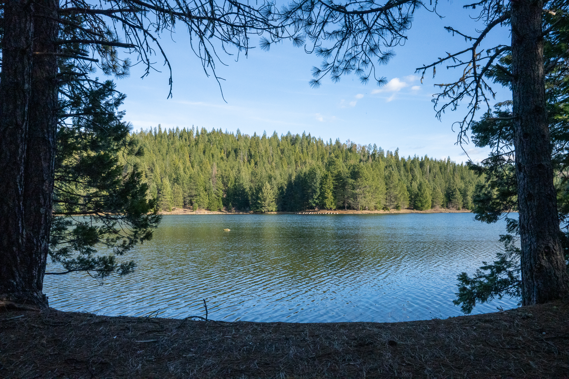 Medco Pond- Recreational Retreat