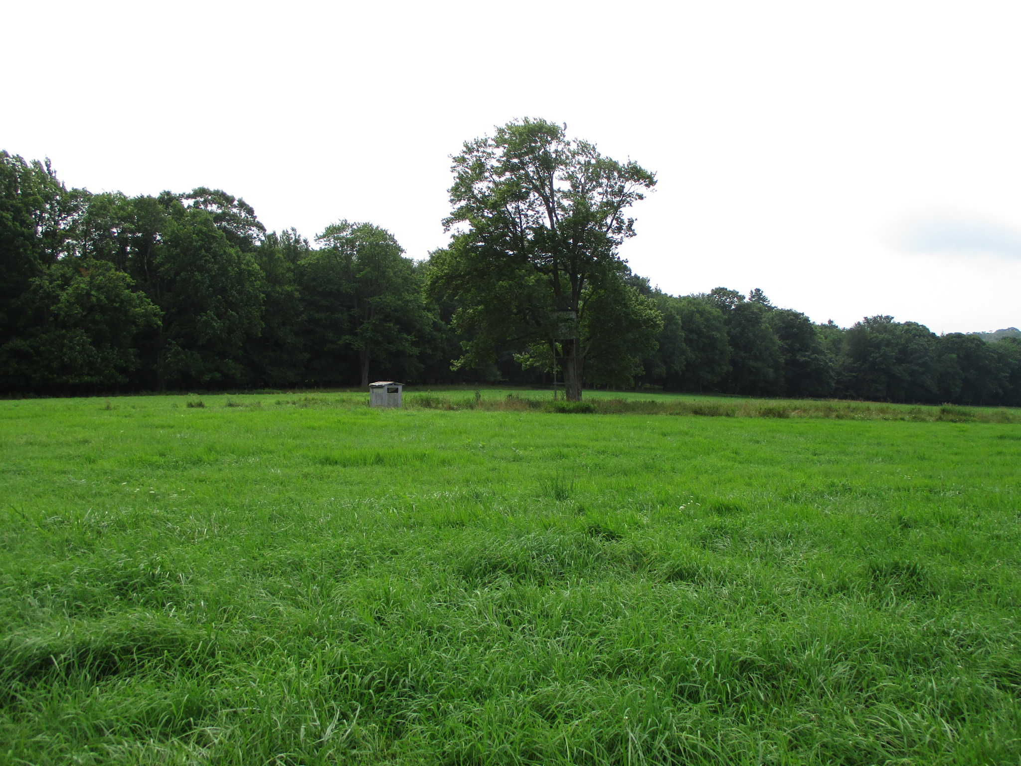 Listing Image 50