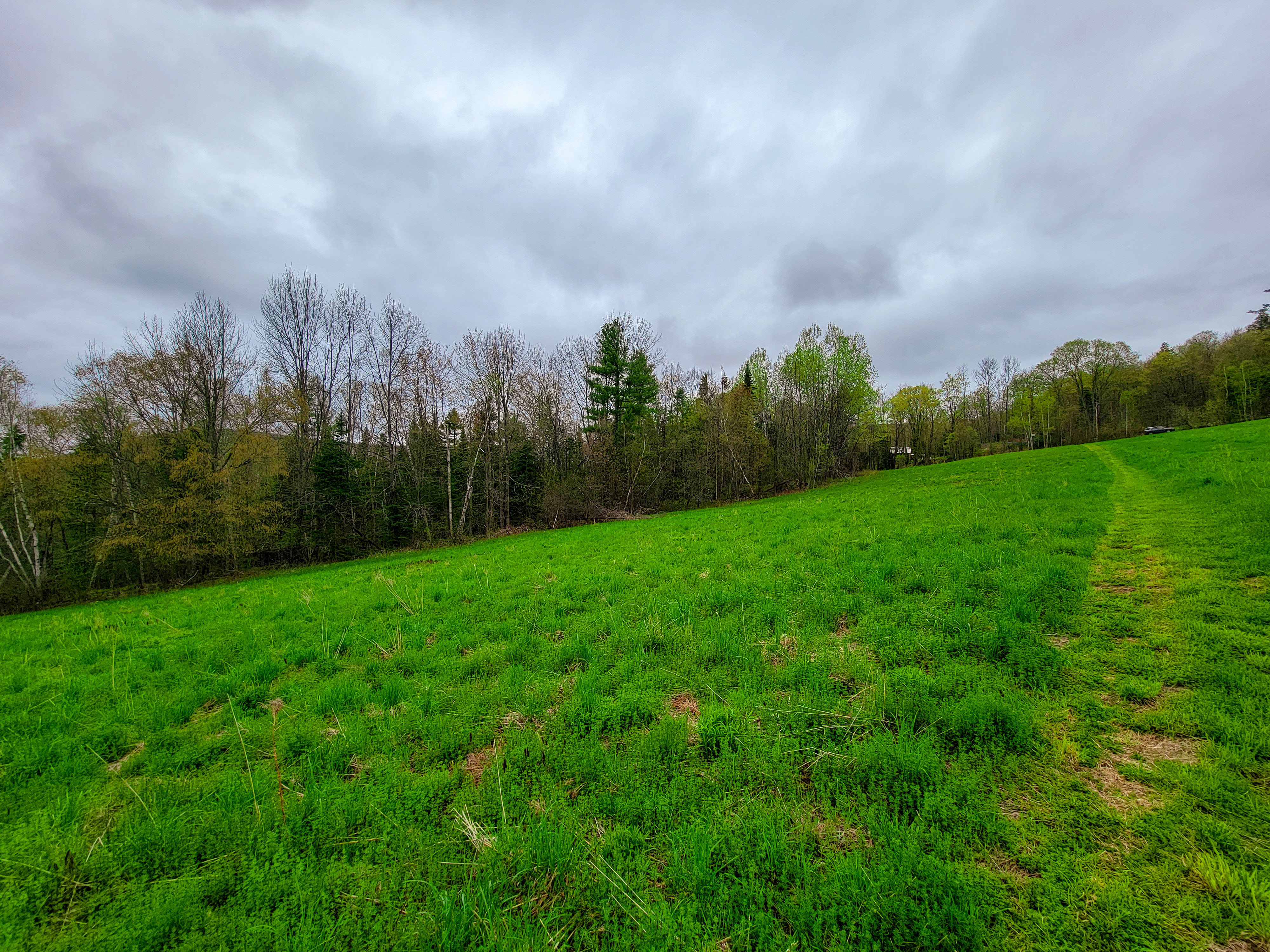 855 Campbell Rd - Waterford
