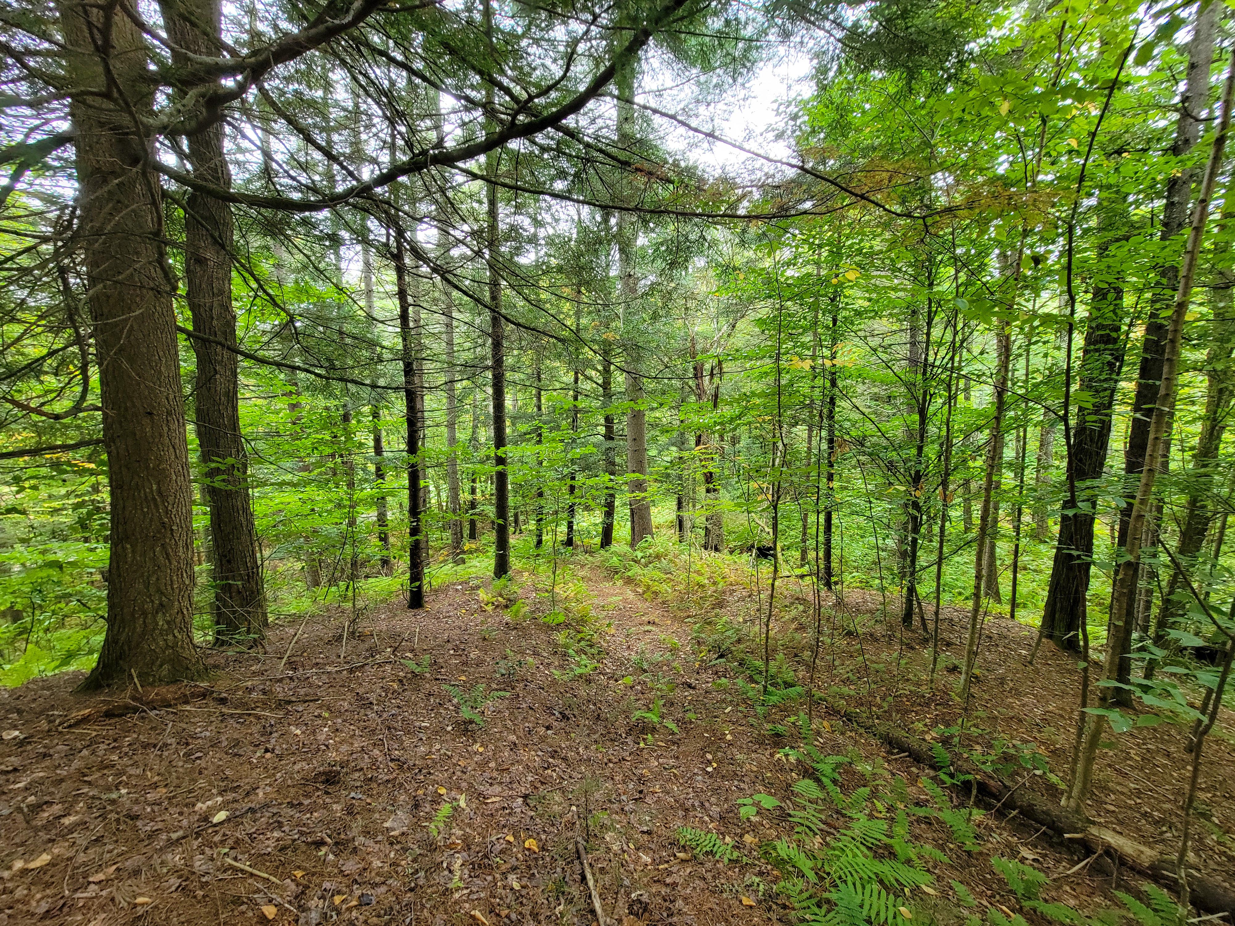 Listing Image 54