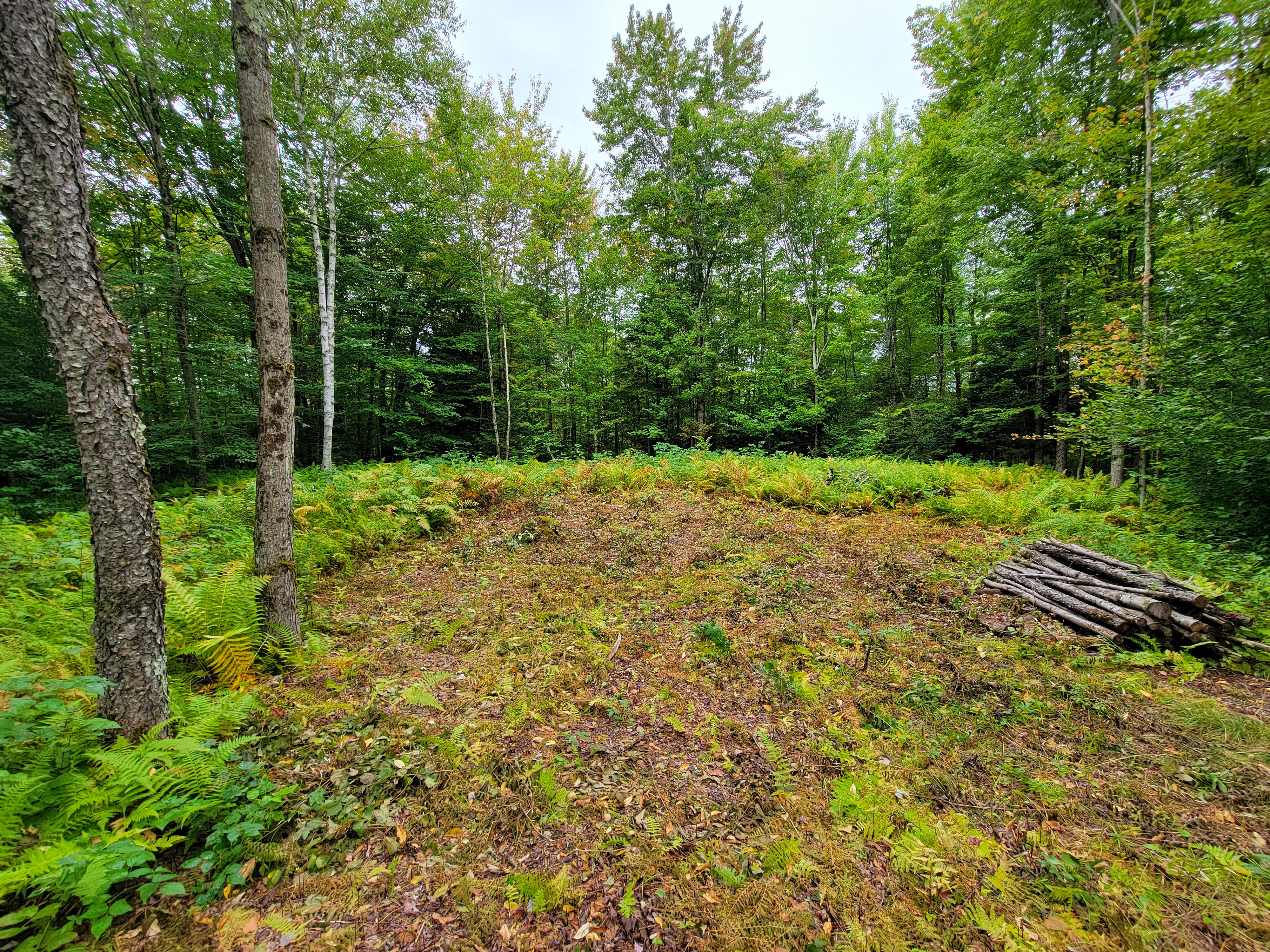Listing Image 59