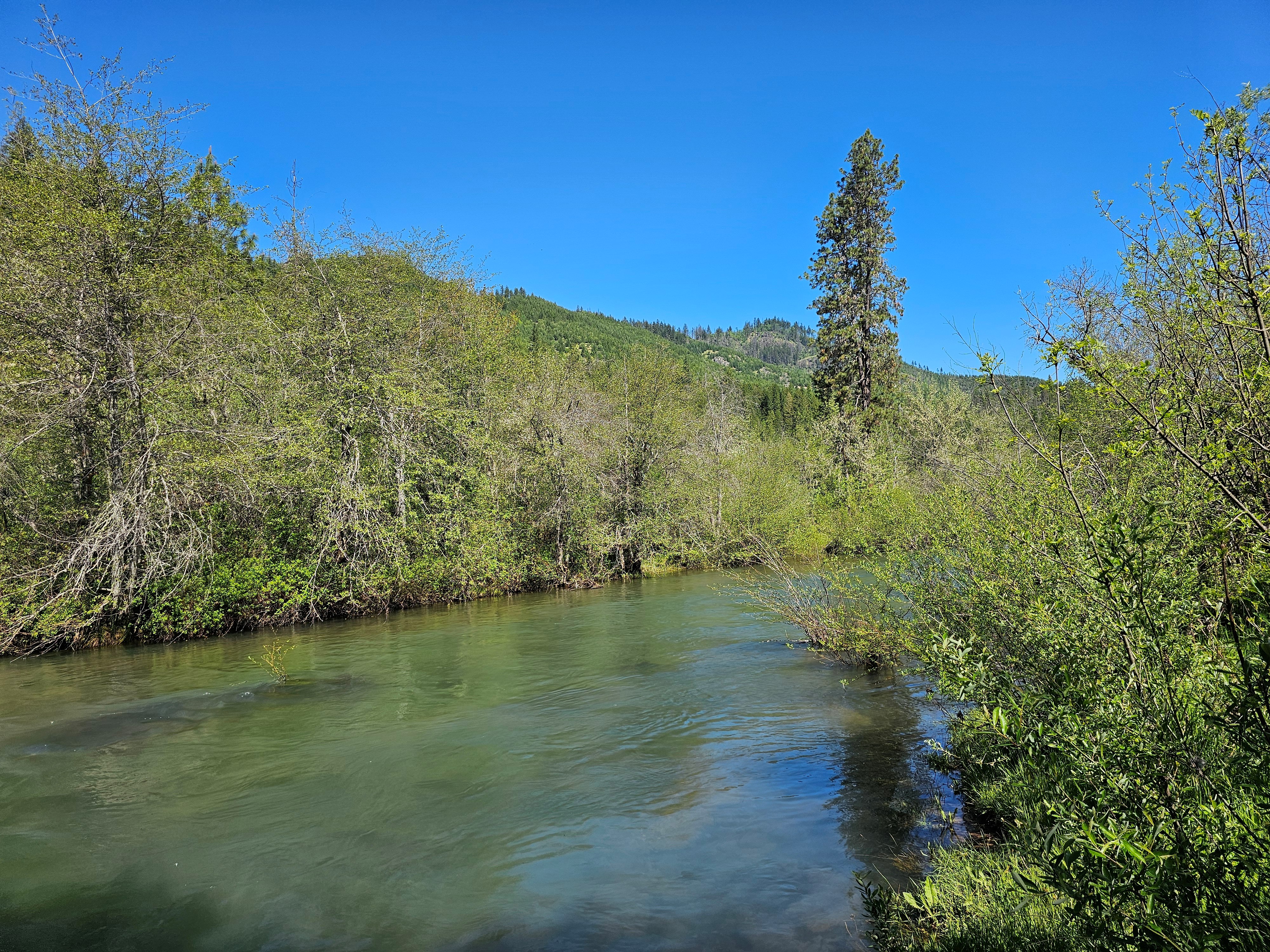 Elk Creek Road TL 3200