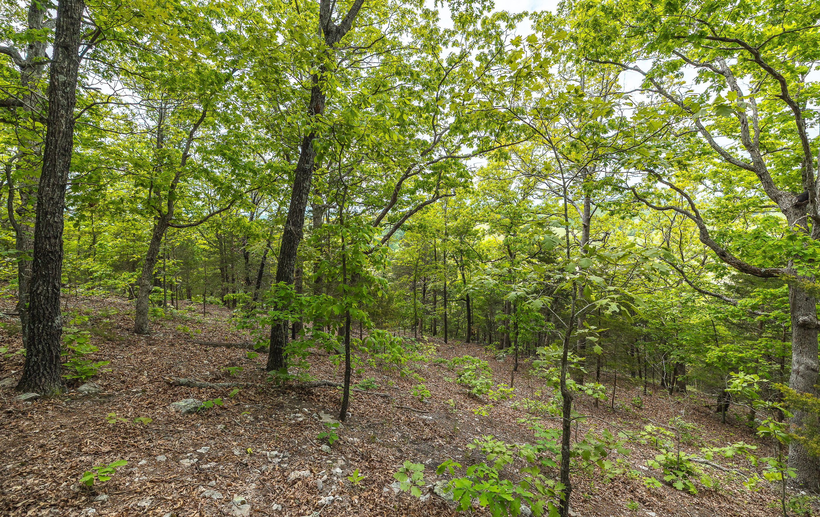 Waters Edge on the Gasconade River Tract 1