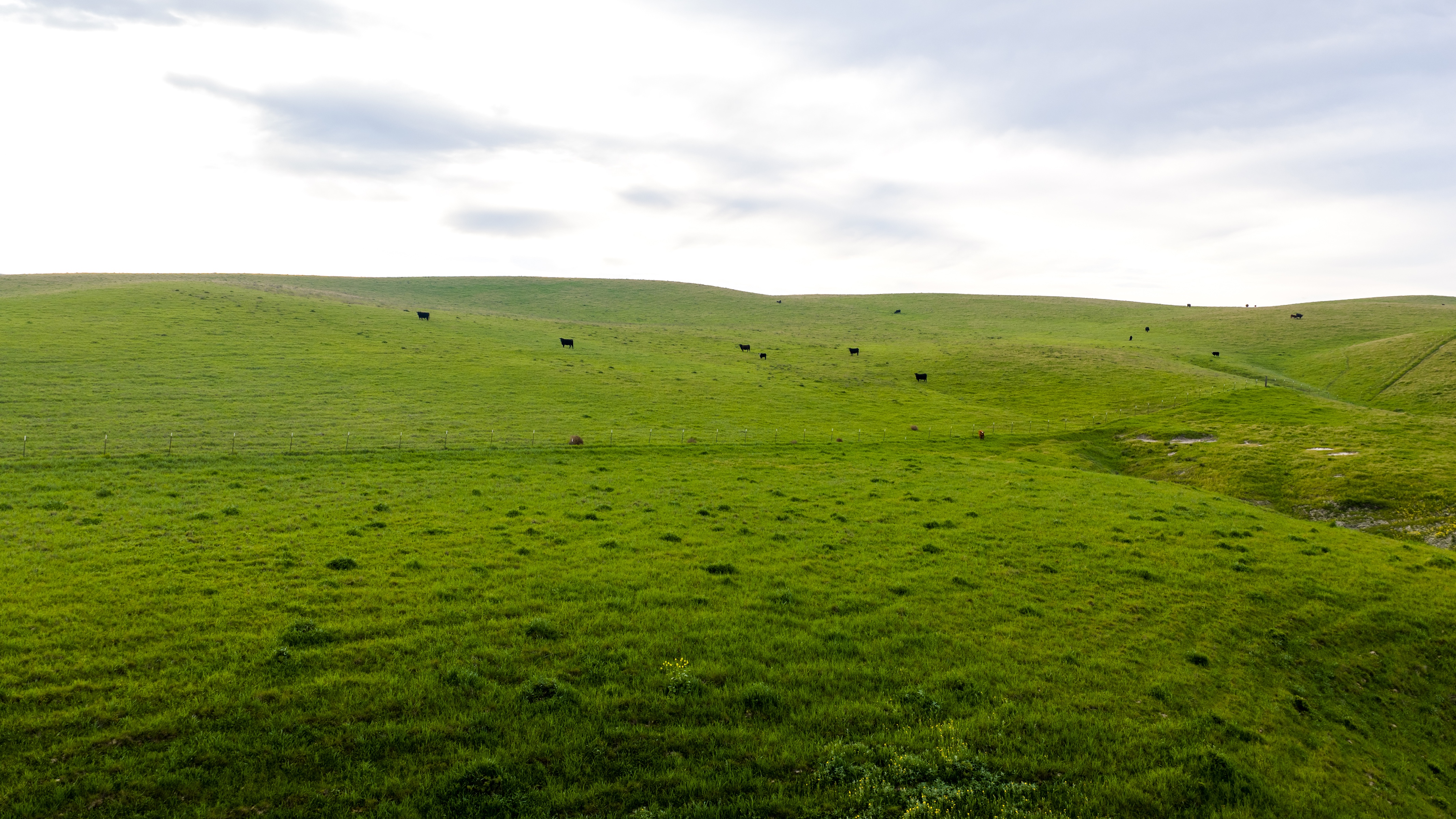 Pritchard Sumner Ranch