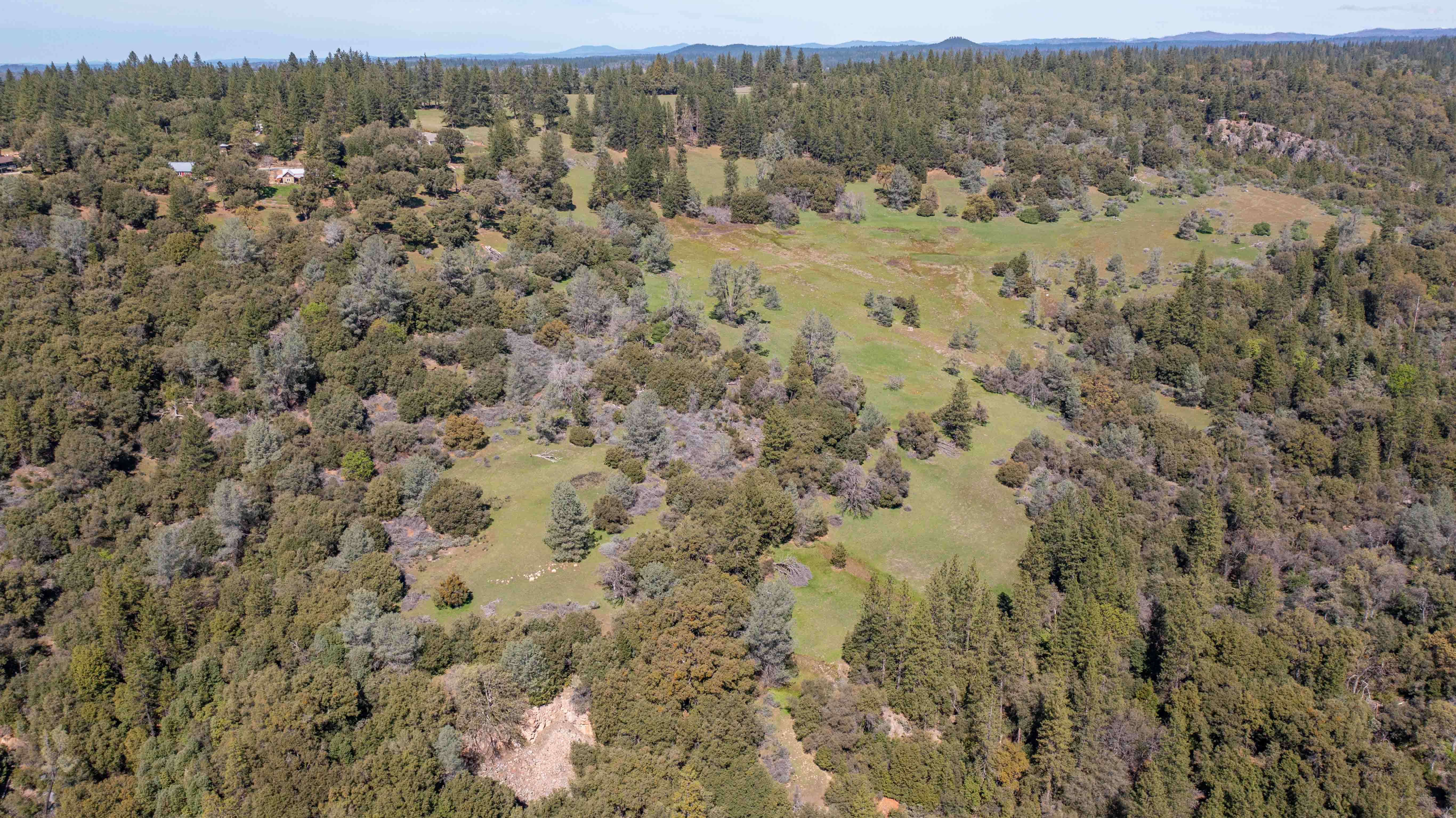 Listing Image 37