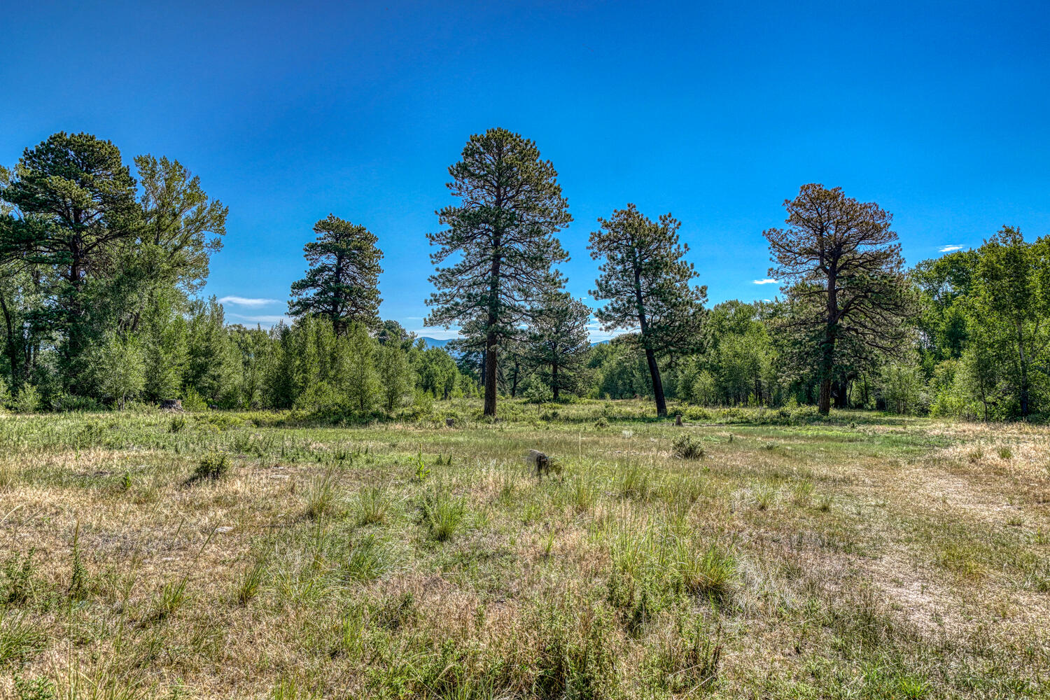 The historic Kelling homestead ranch.