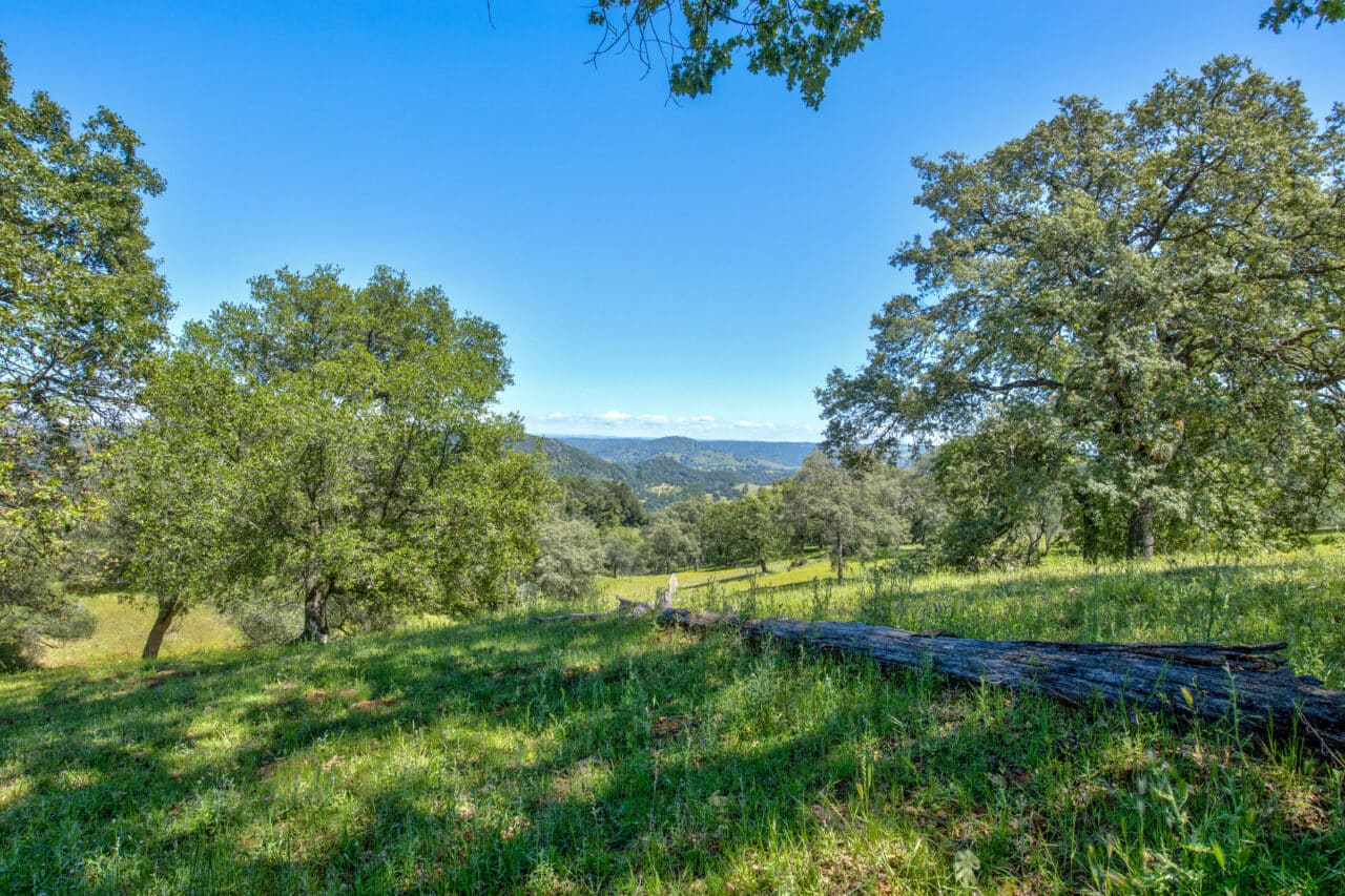 Listing Image 79