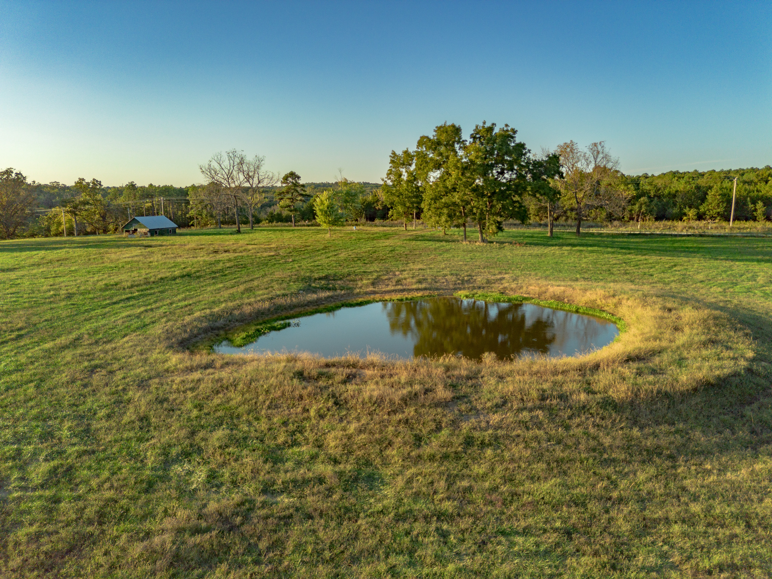 Listing Image 42