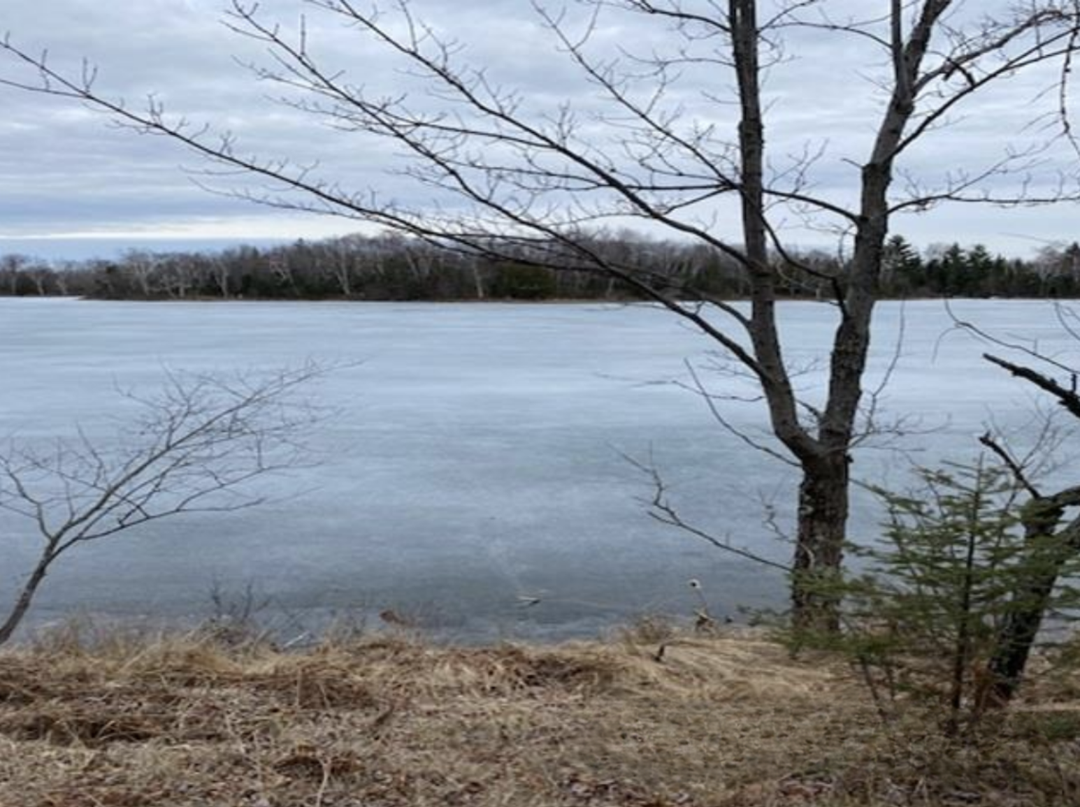 Maggie Lake Retreat 50136074