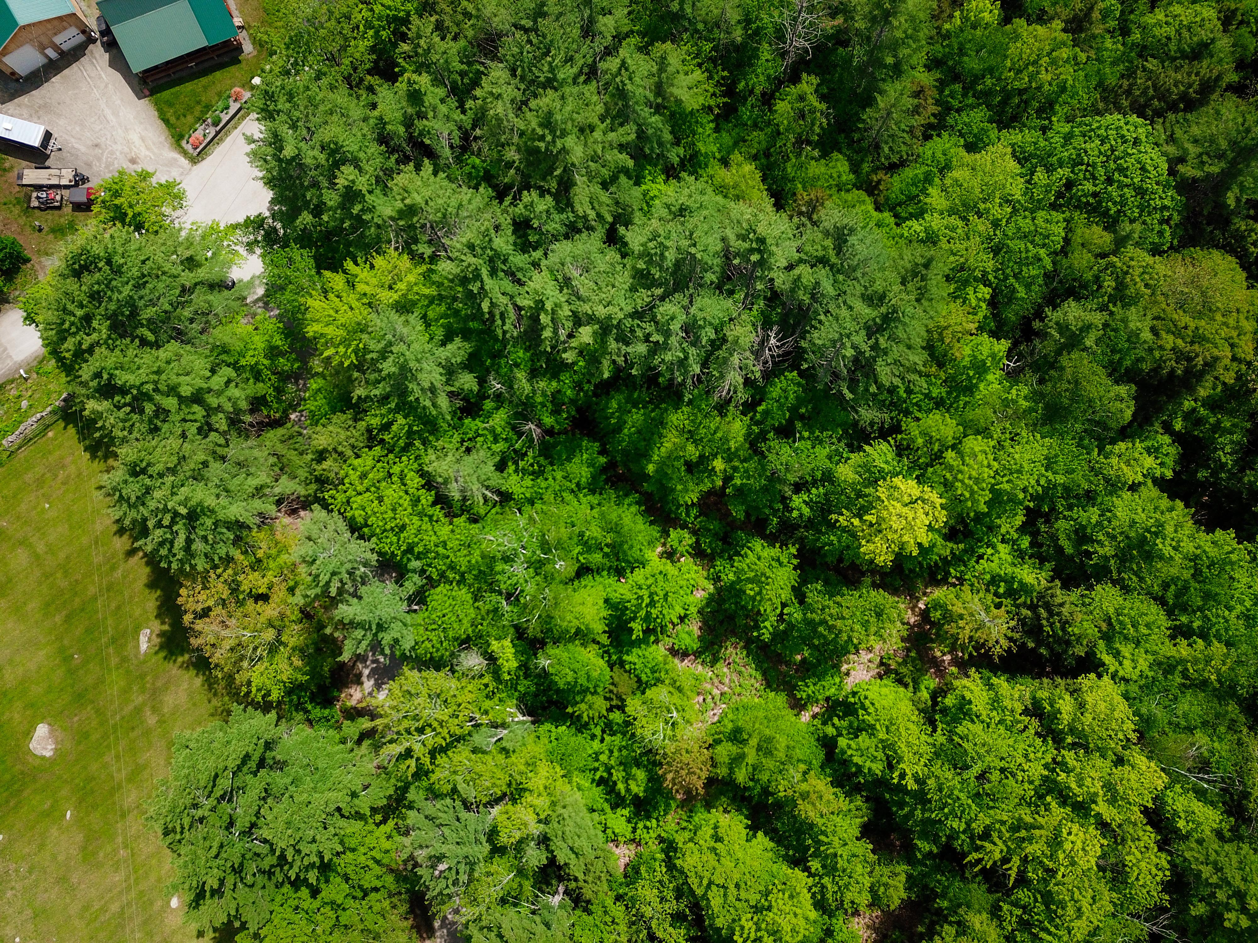 1105 South Hill Rd - Jamaica