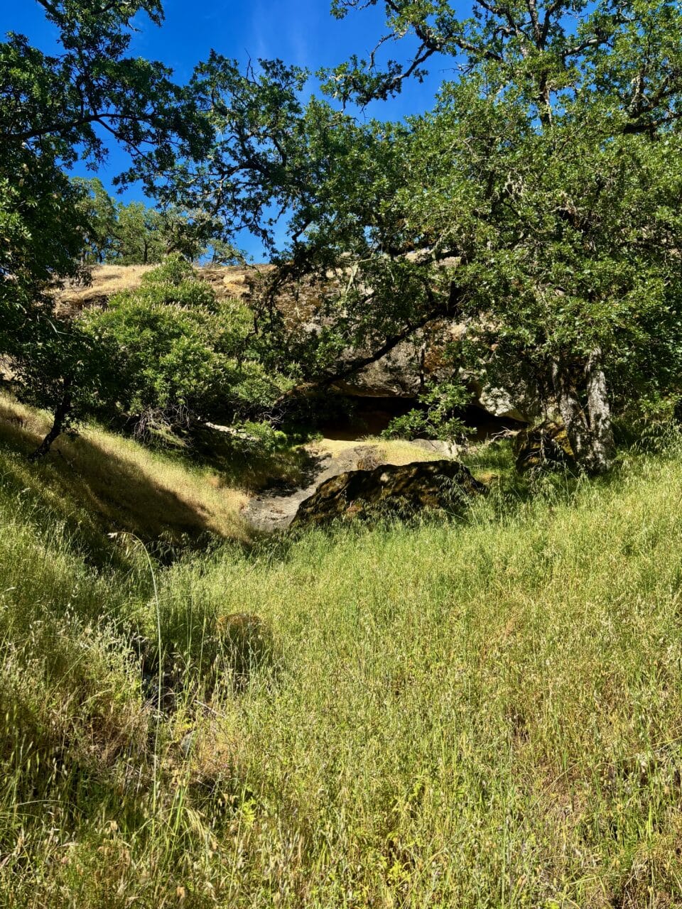 McNab Crag Ranch