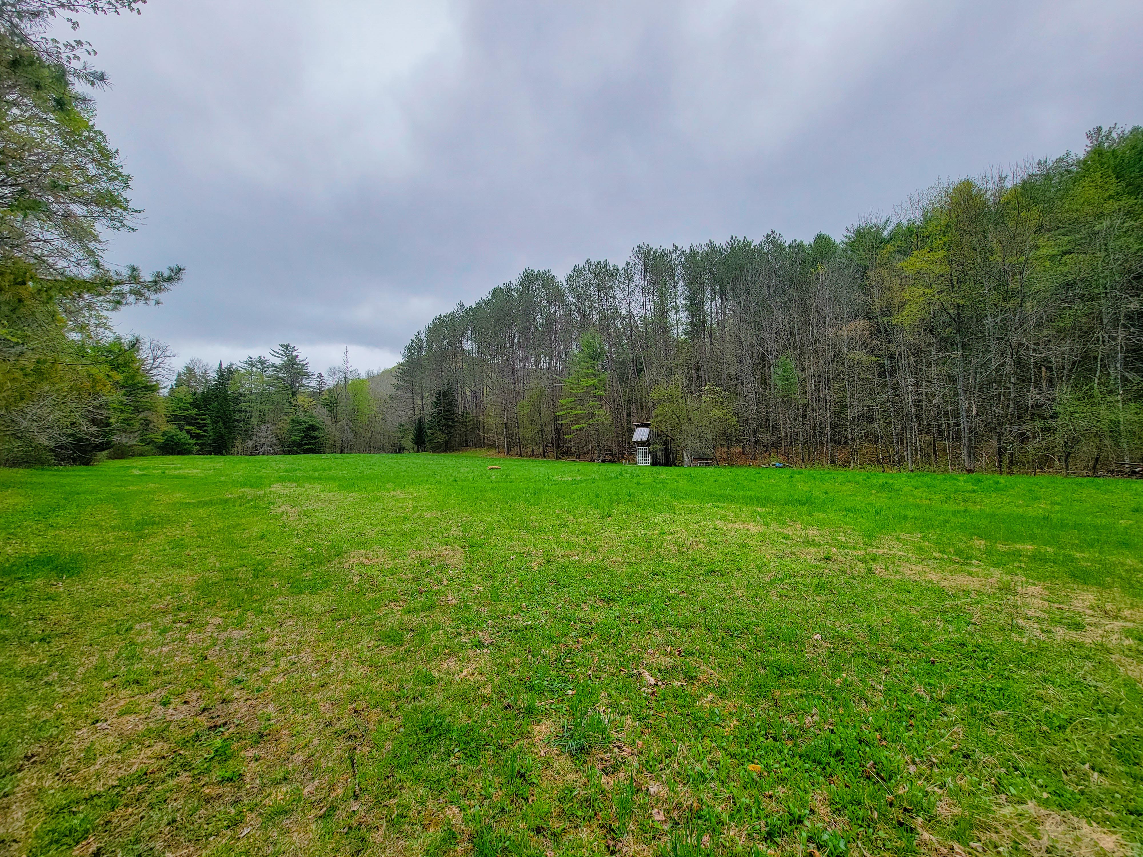 12 Meadowbrook Ln - Chelsea