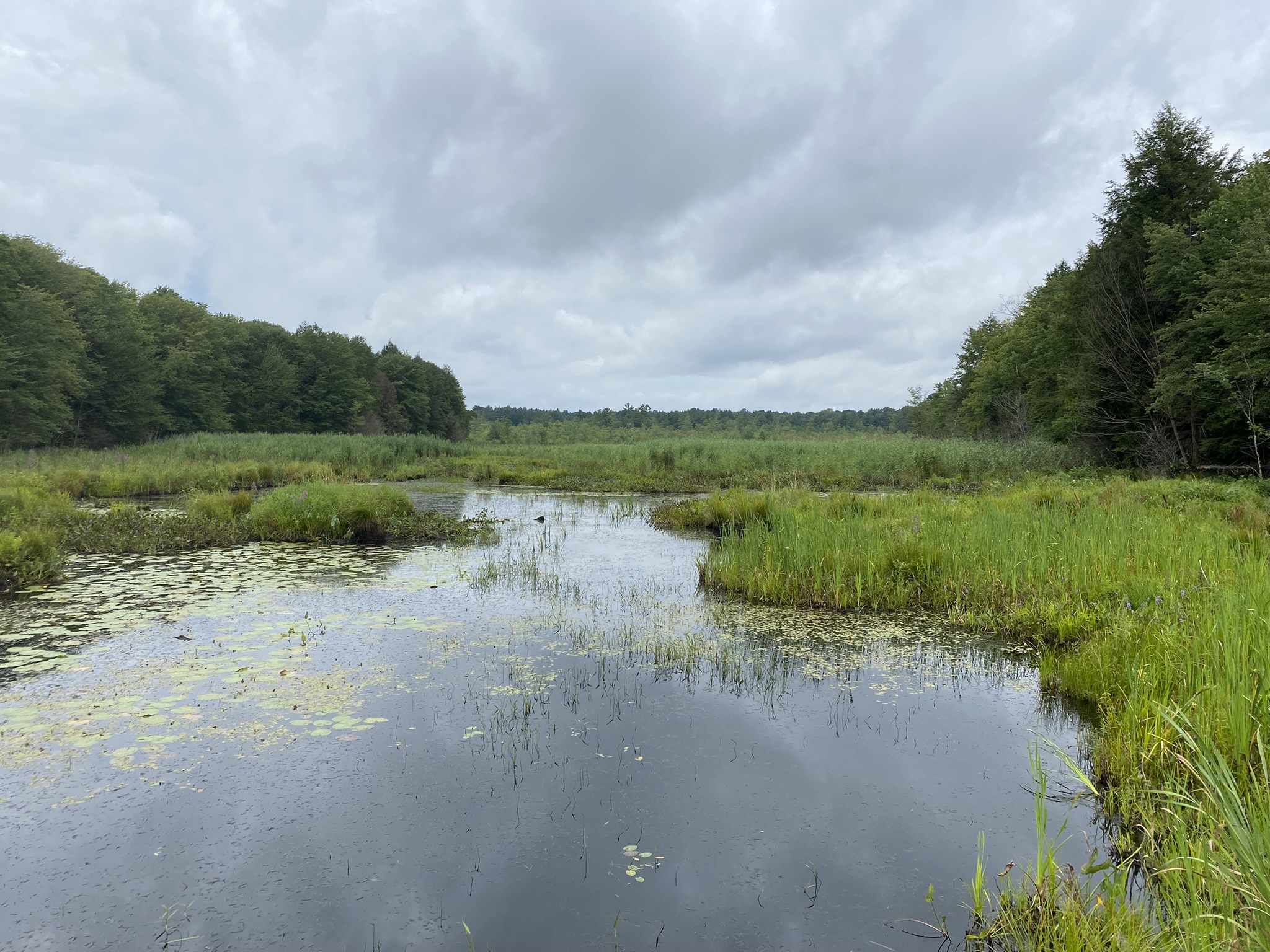 Cabin on the Little River