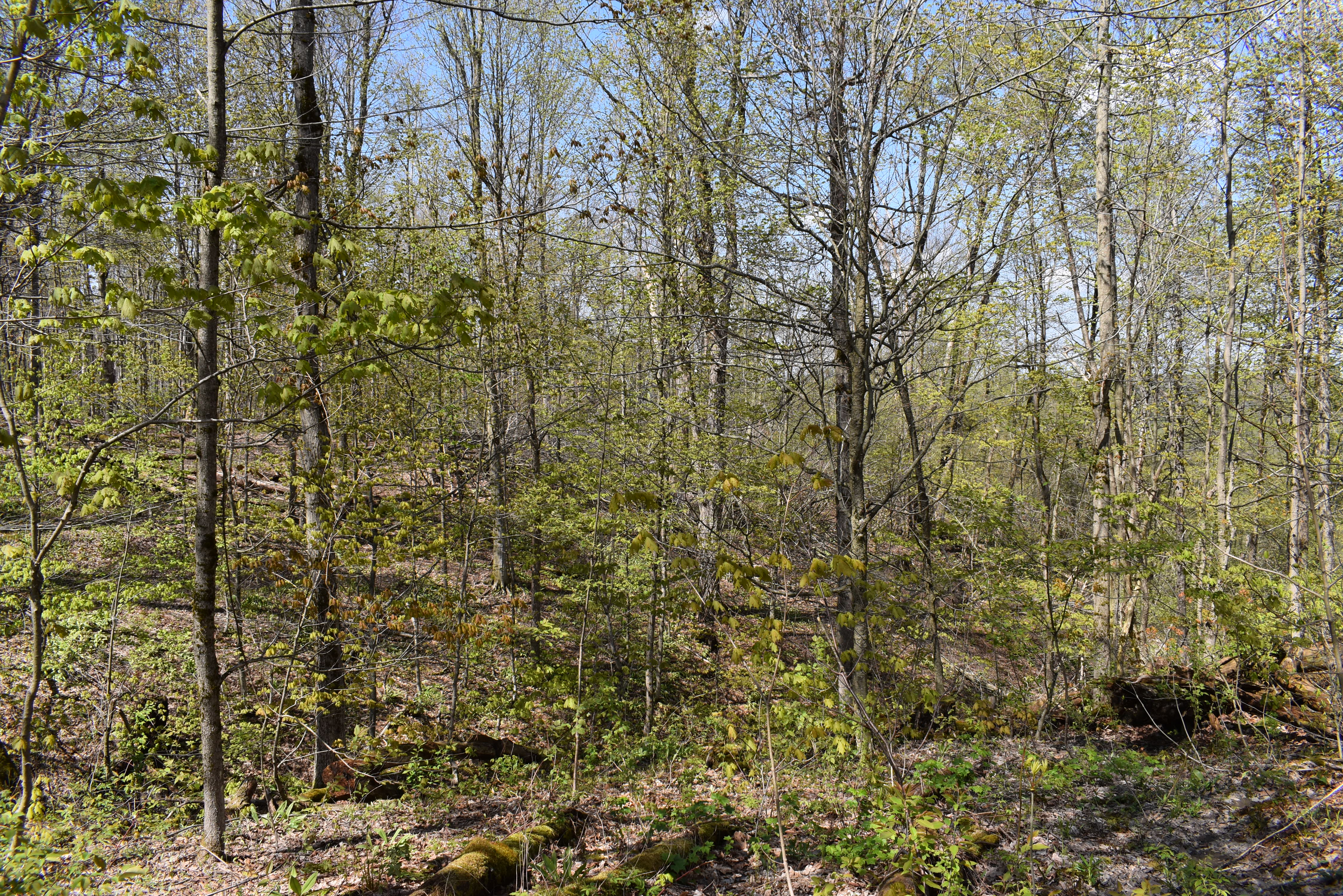 Listing Image 27