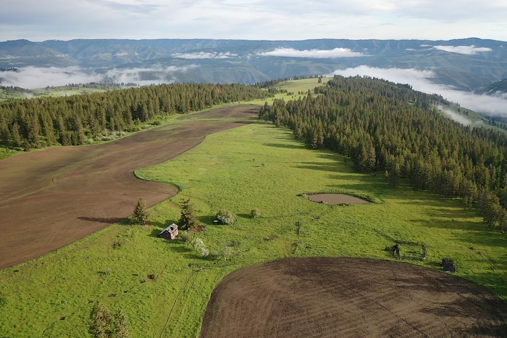 Buford Ridge Ranch