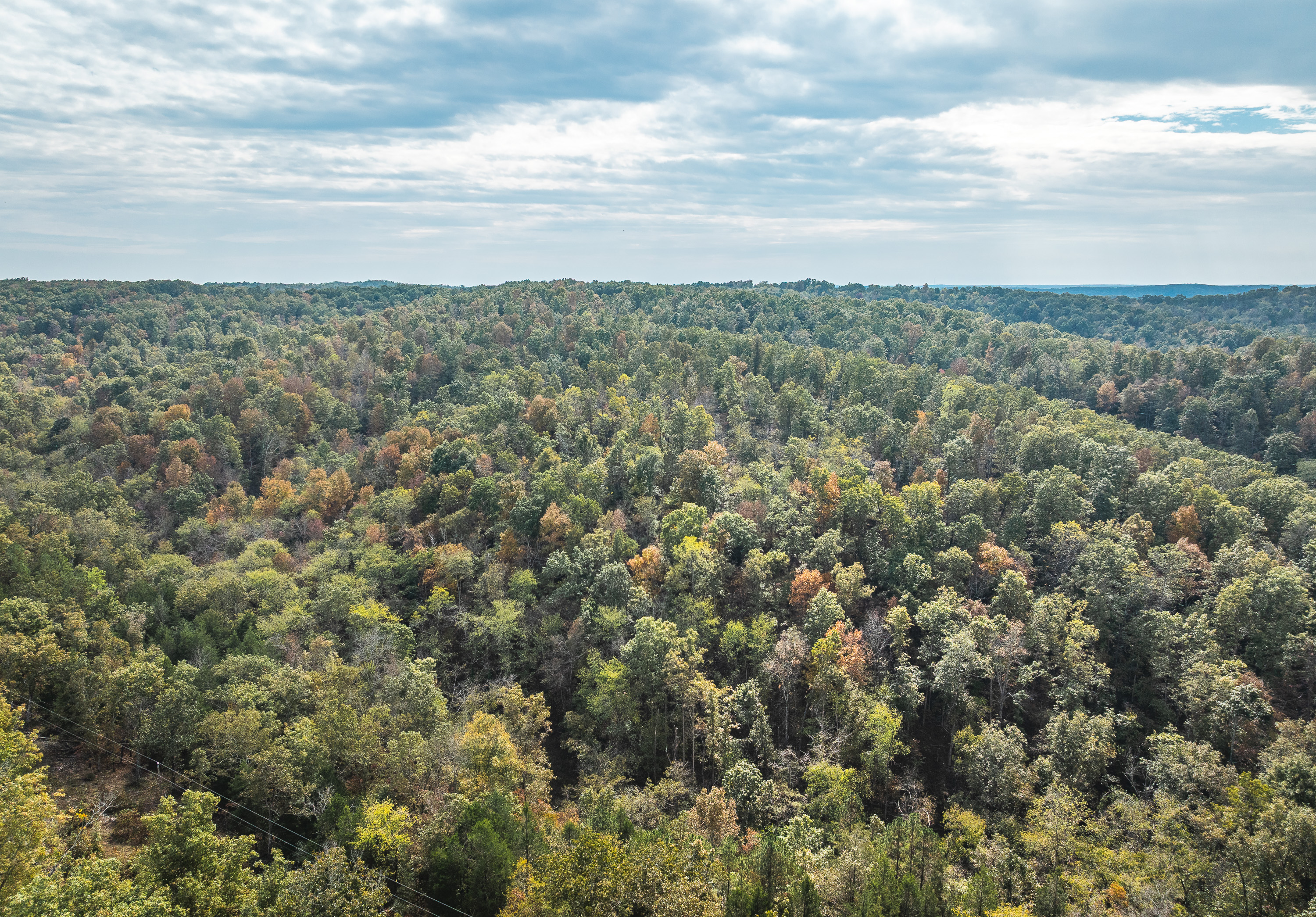 Little Gladden Creek Hunter