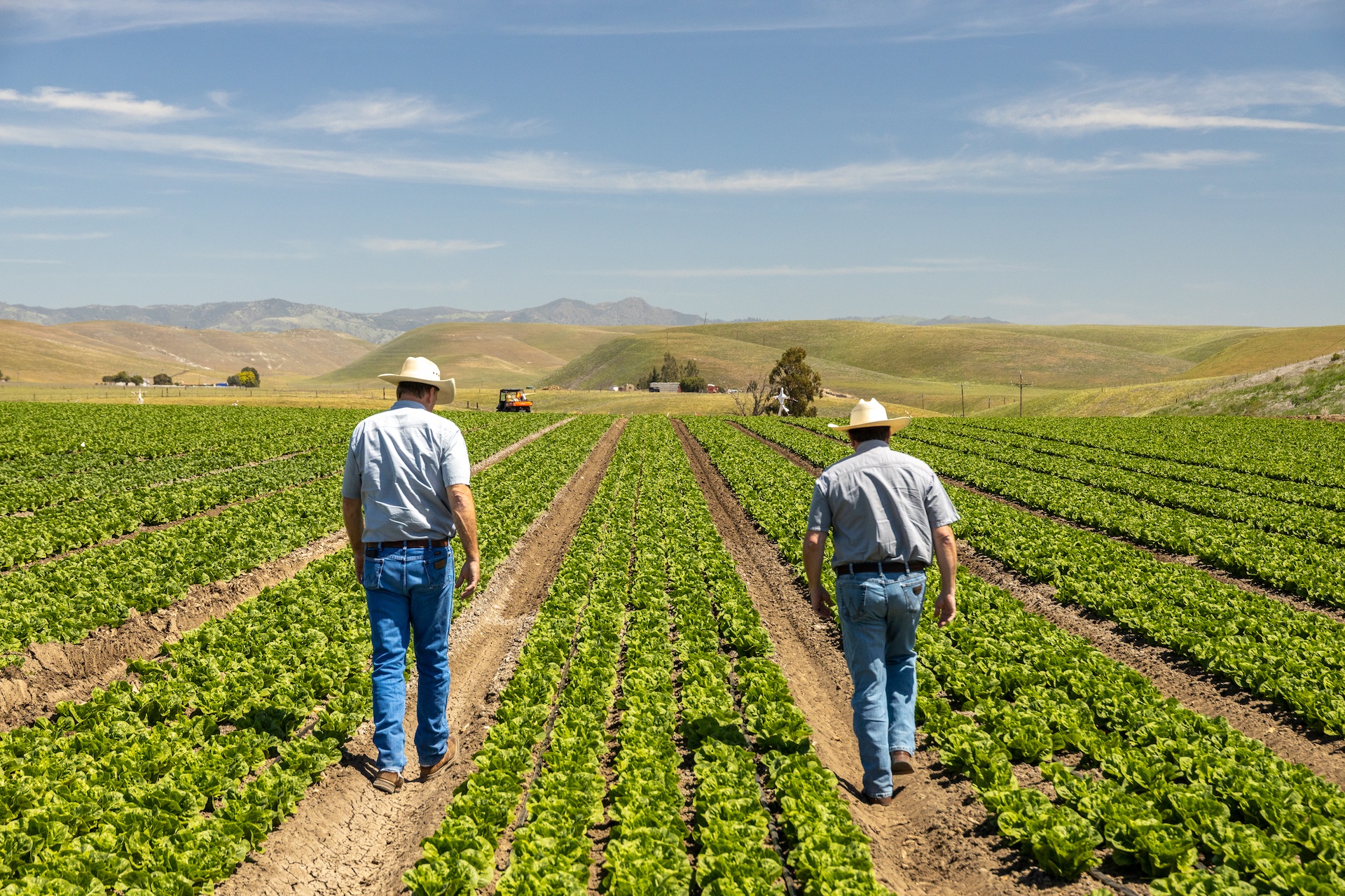 Reynolds Land & Cattle Co. Farmland