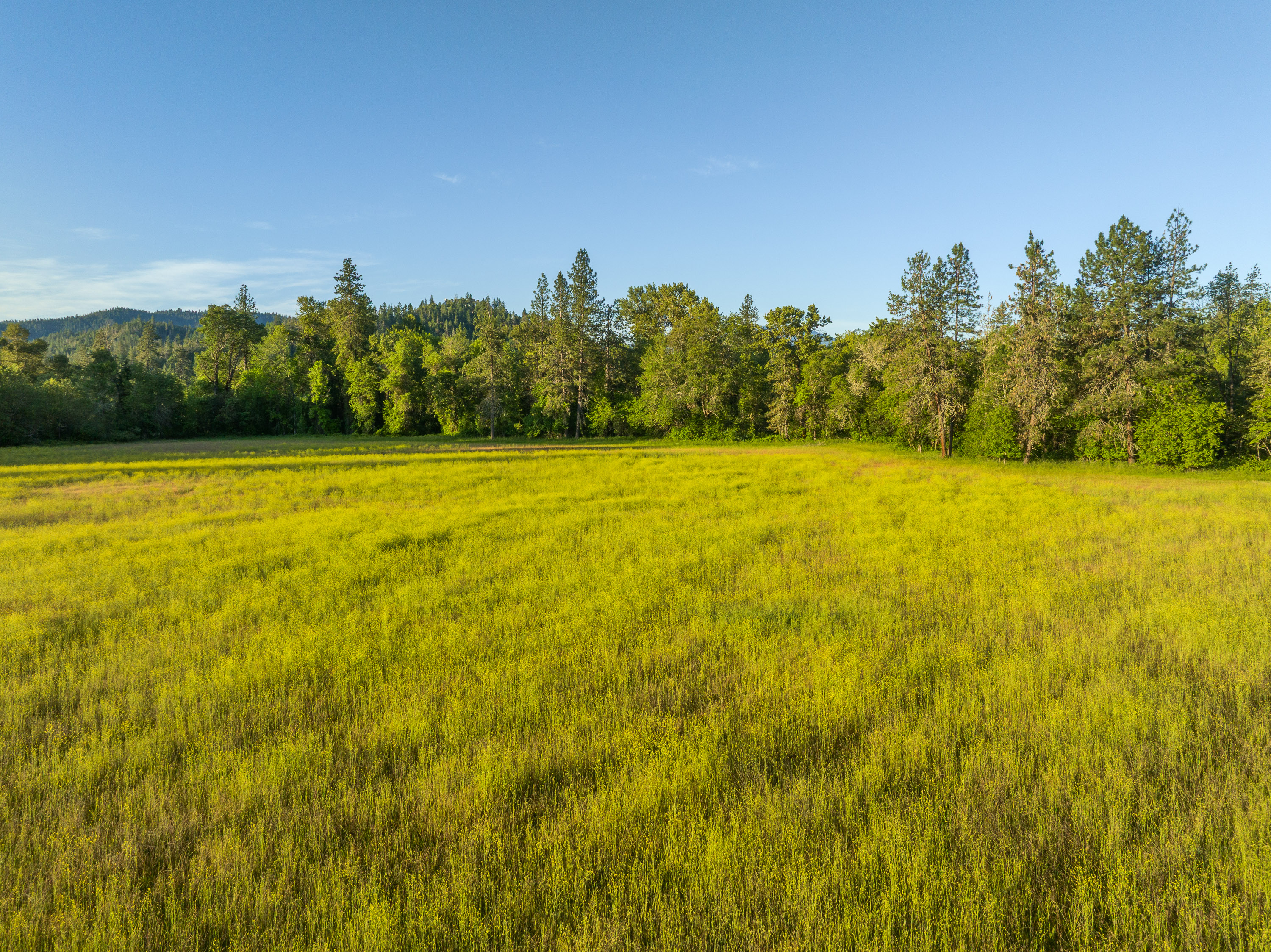 701 Messinger Road - Benton Family Ranch - 112 Acres along Williams Creek