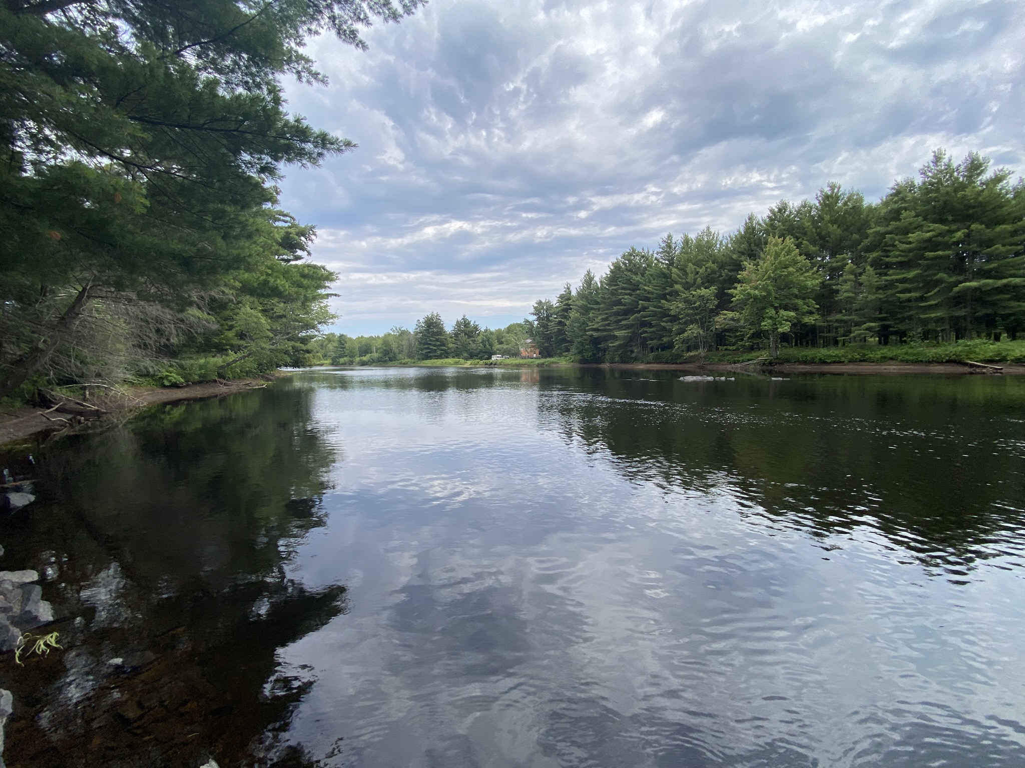 Listing Image 87