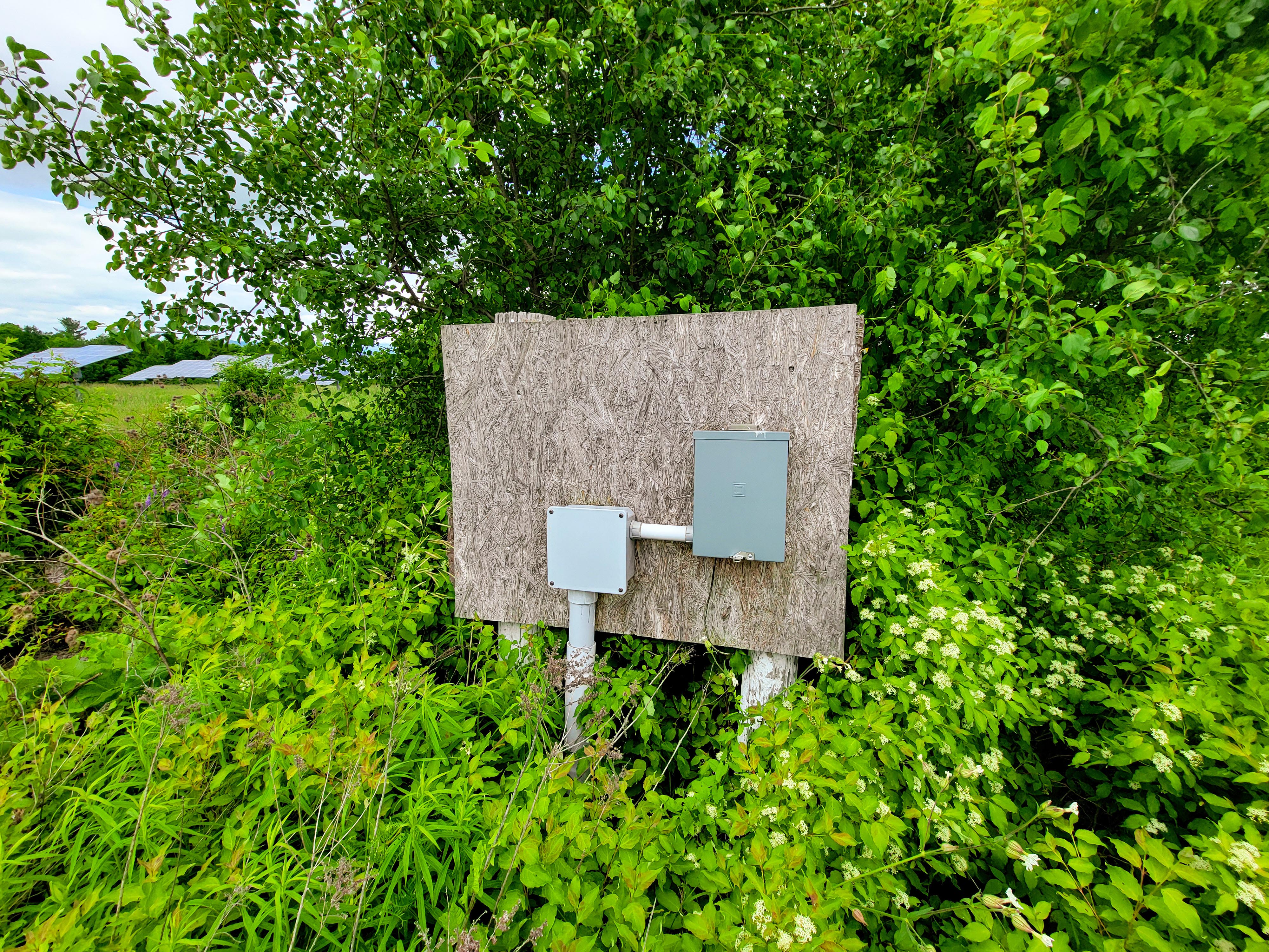 Listing Image 50