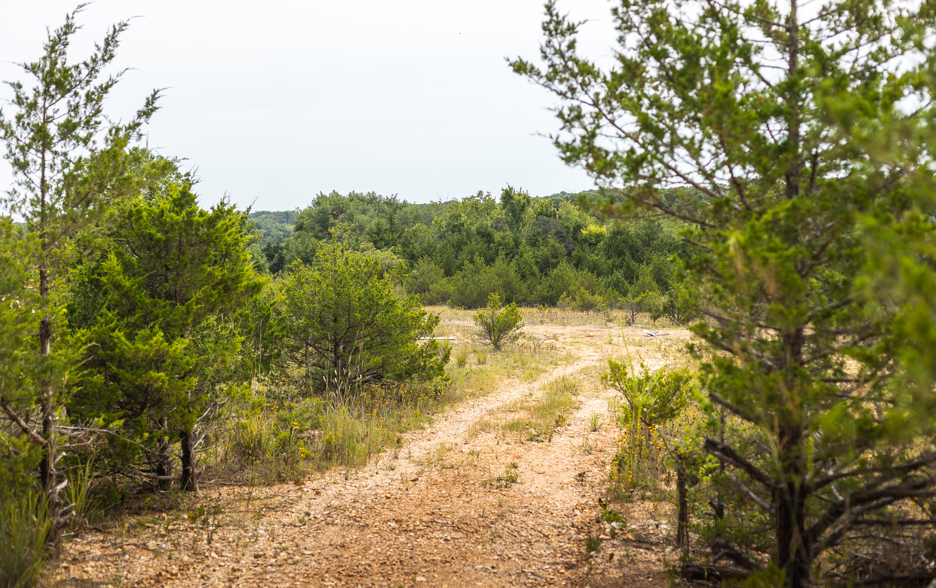 Hickory Hill Hollow