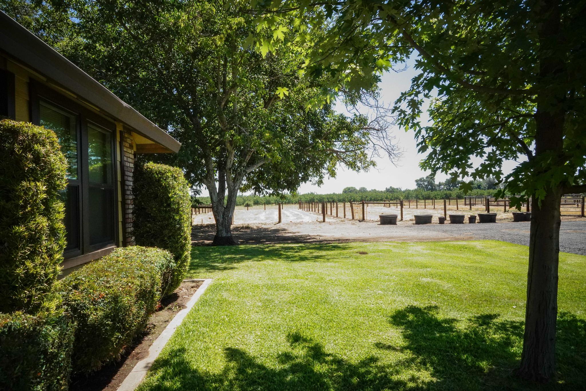 Woodard Ranch