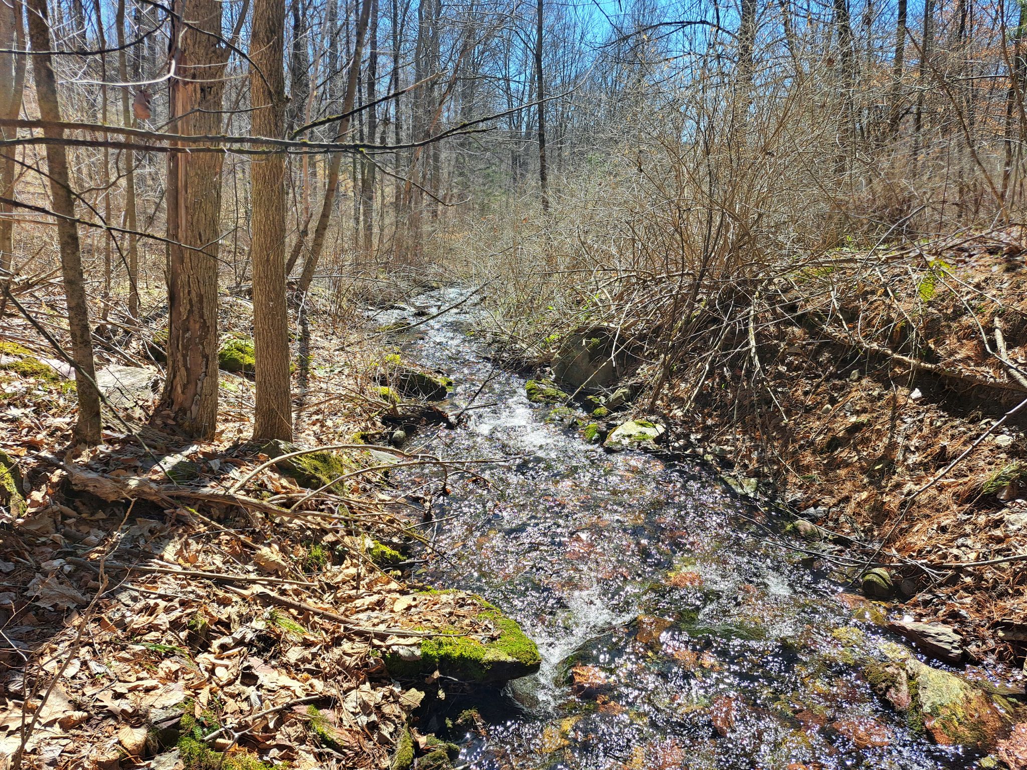 Listing Image 15