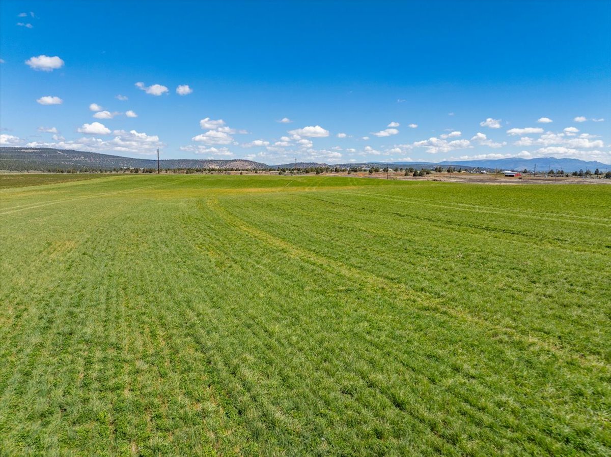 Listing Image 88