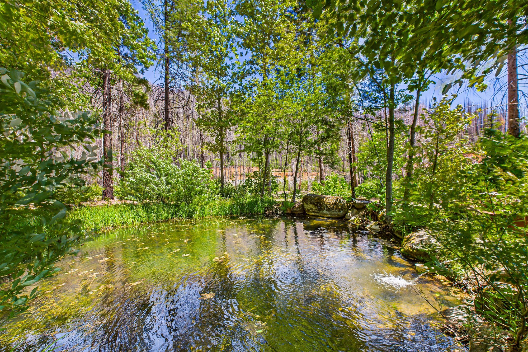 Almay Ranch