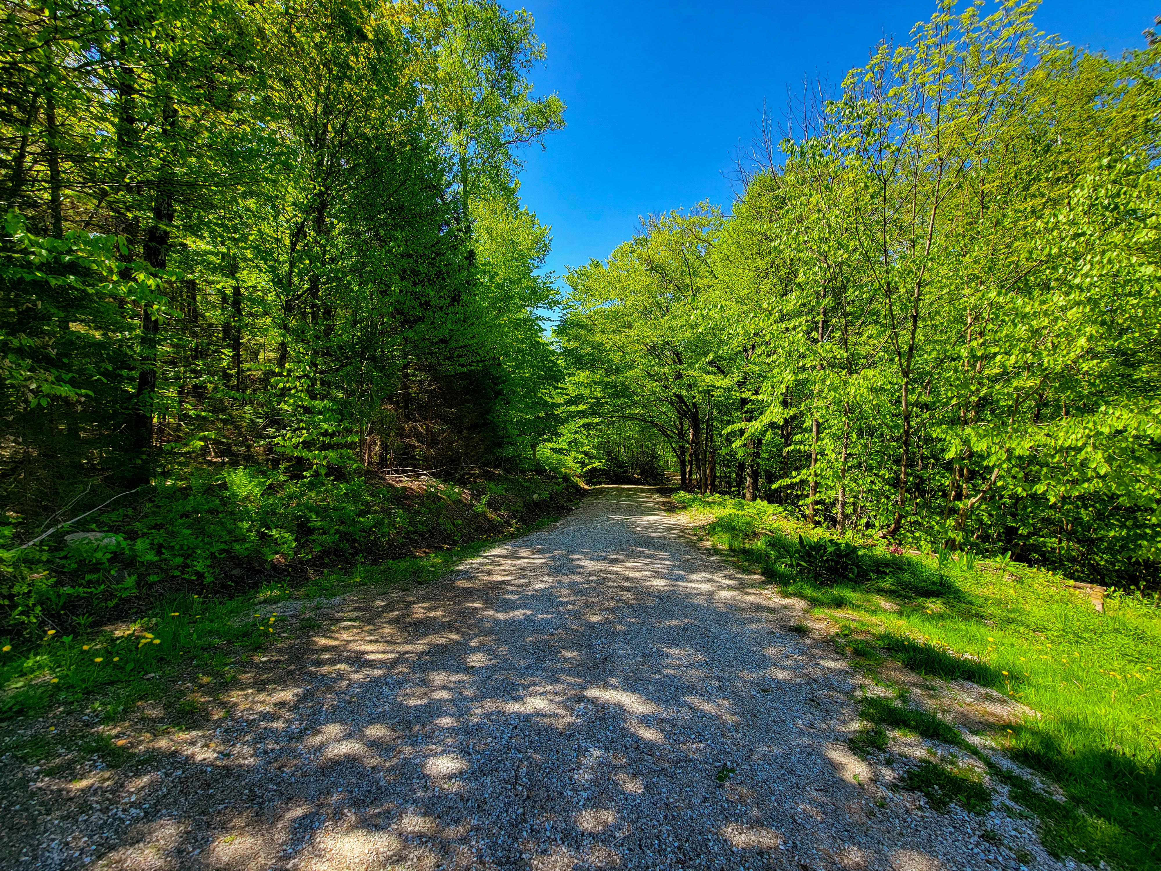 925 Hathaway Rd - Goshen
