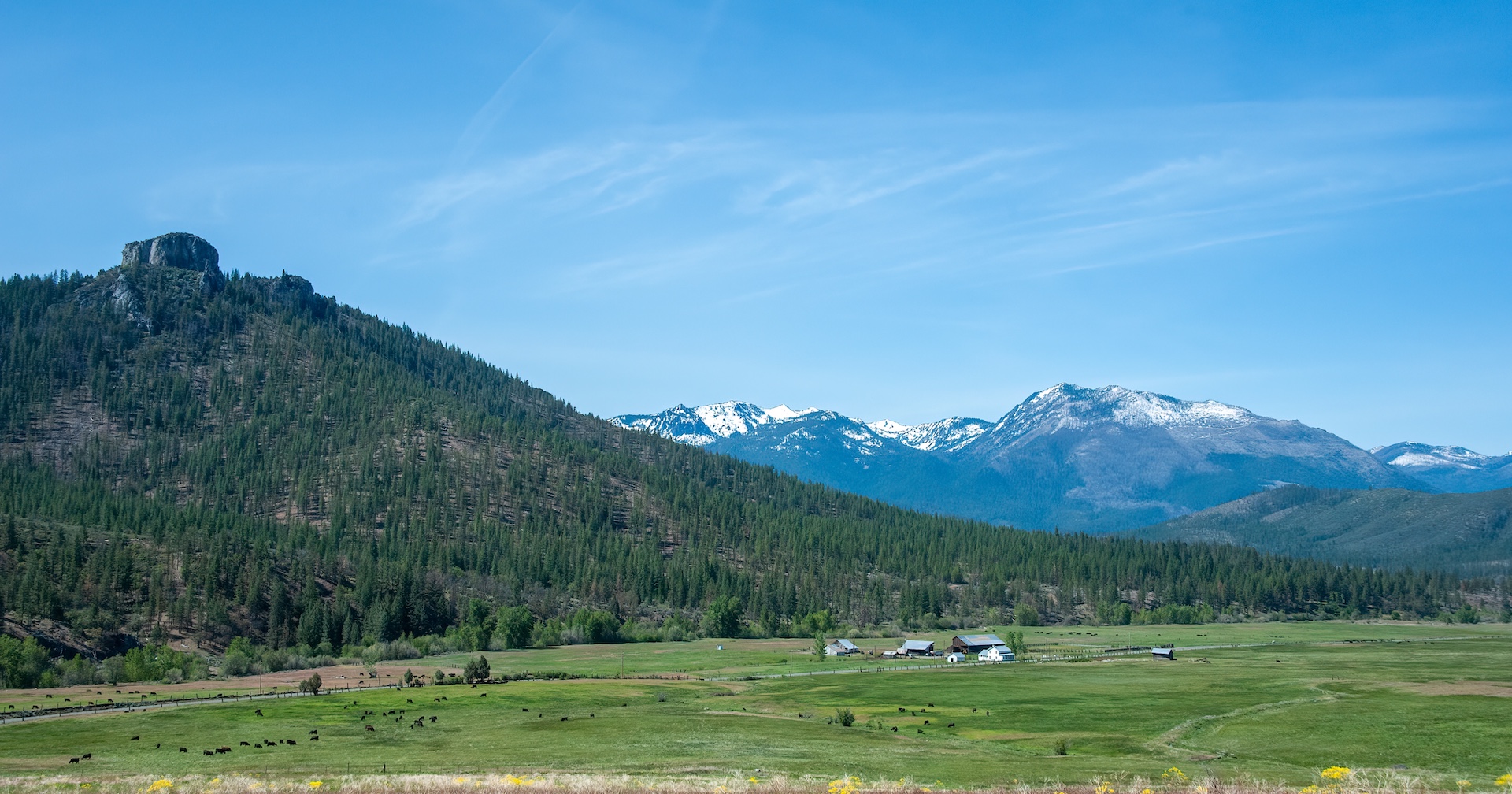 AP Ranch