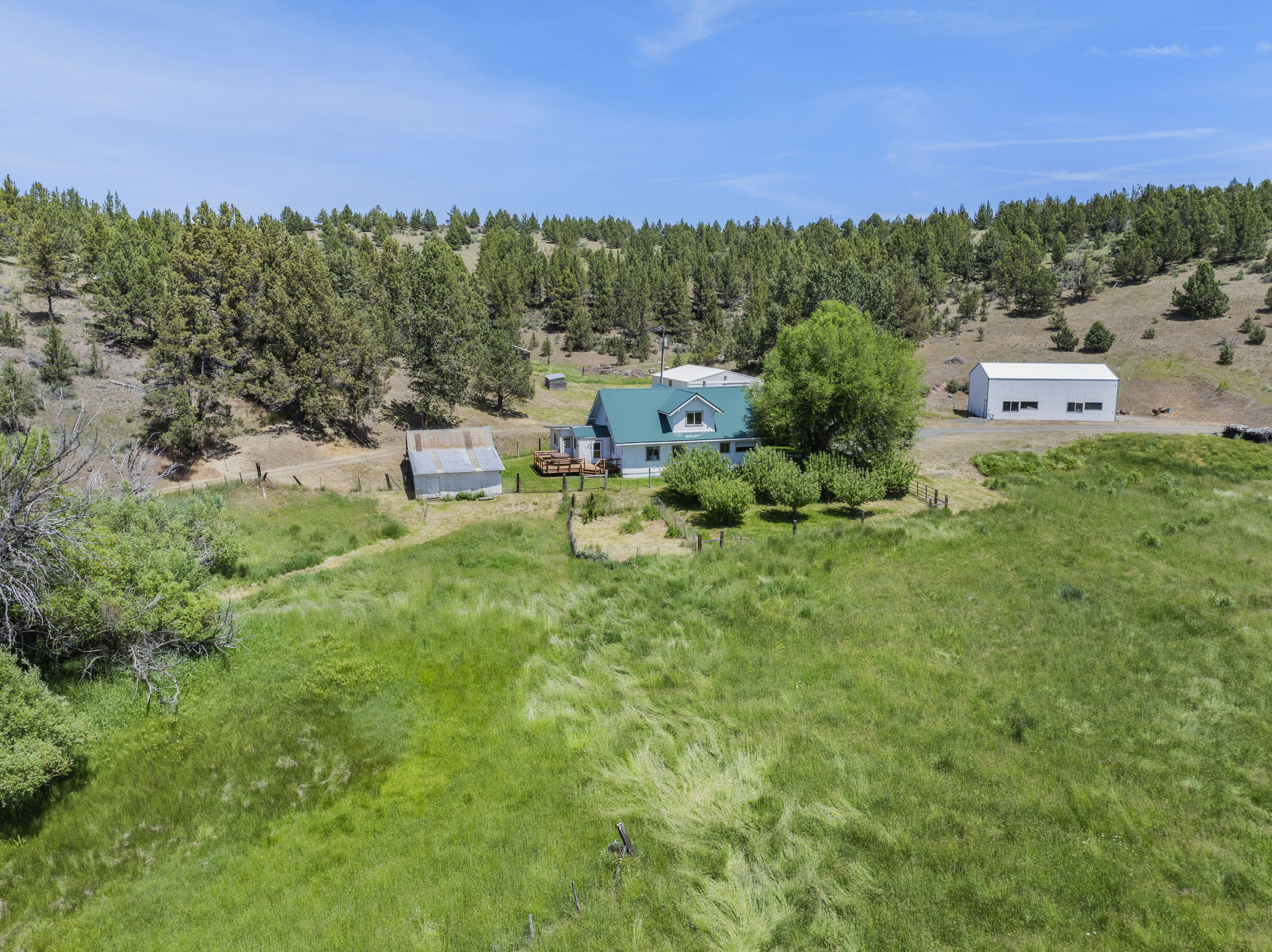 Listing Image 53