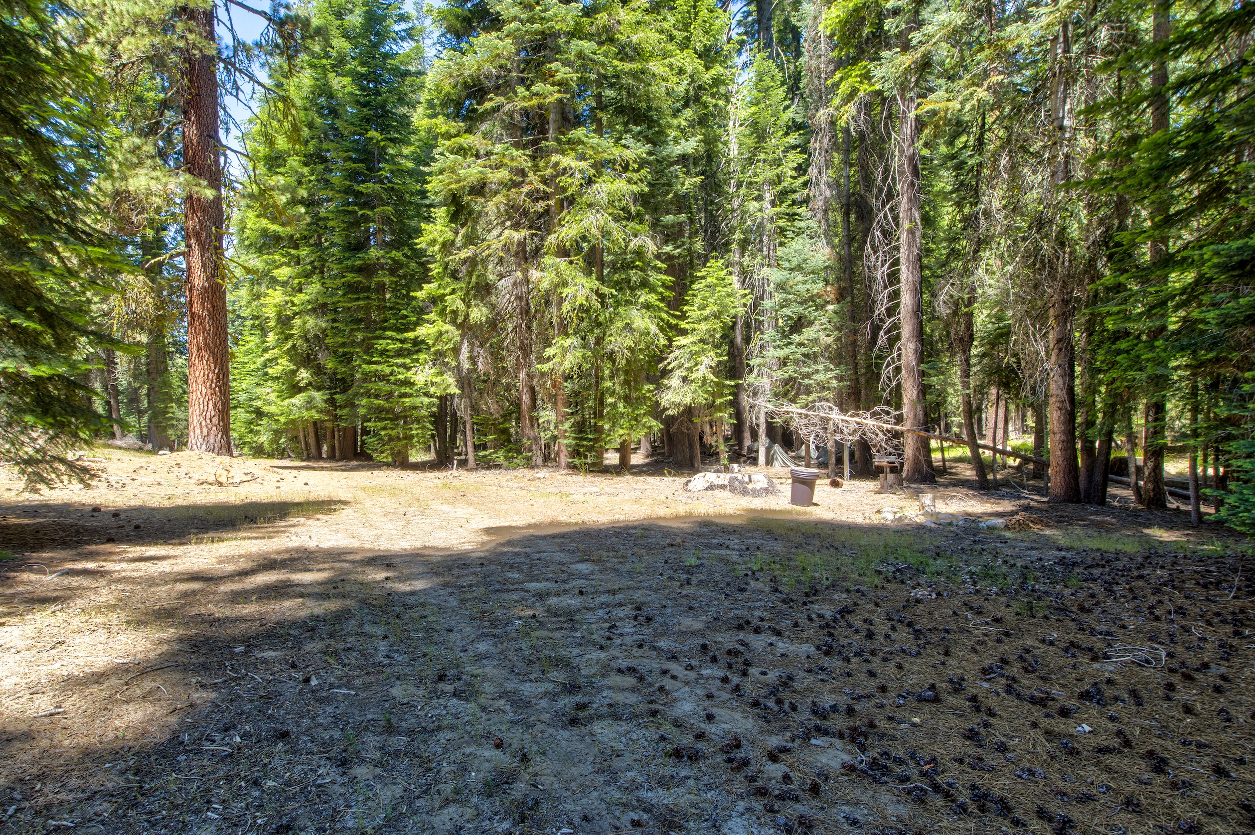 Listing Image 60
