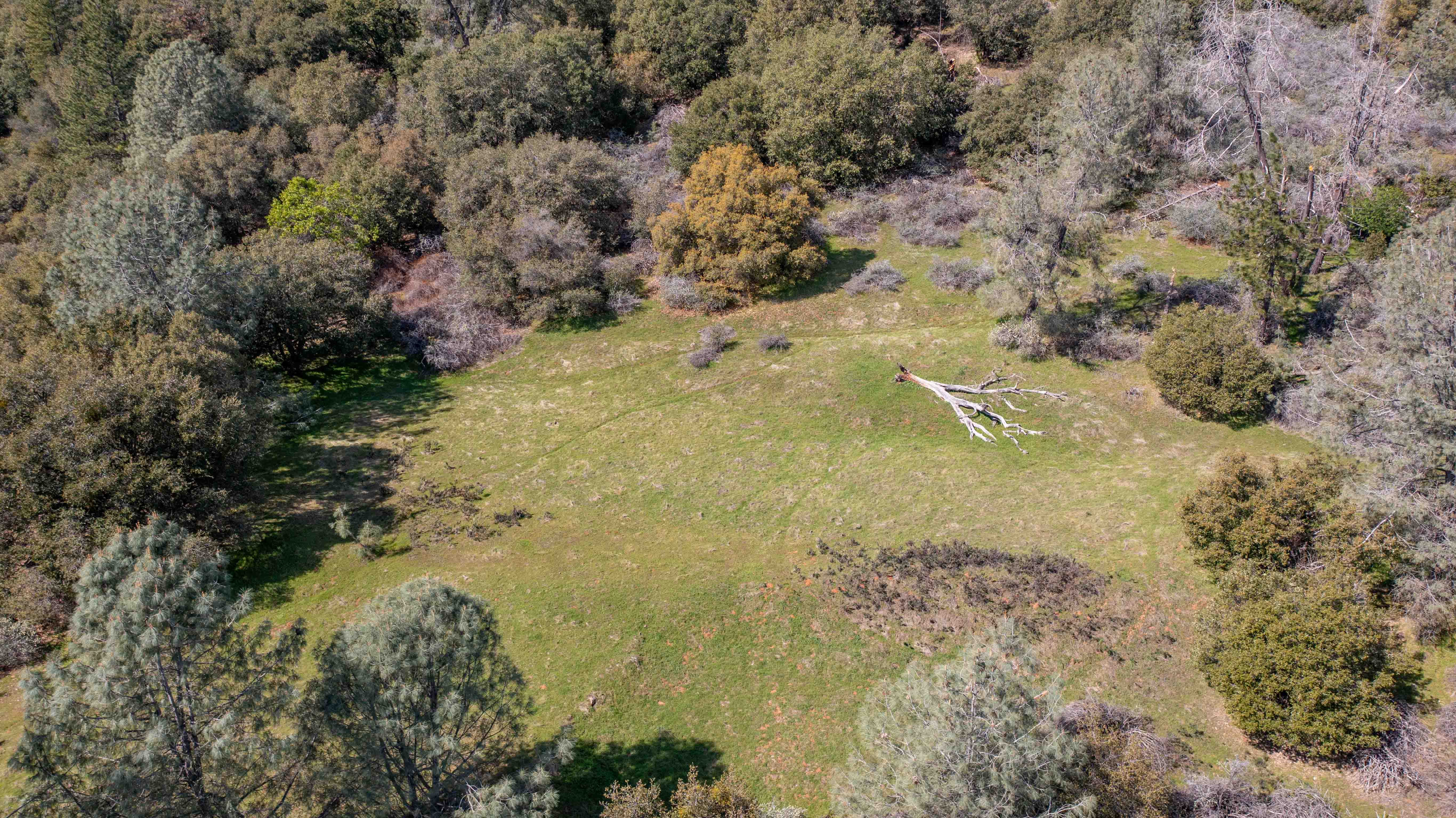 Listing Image 40