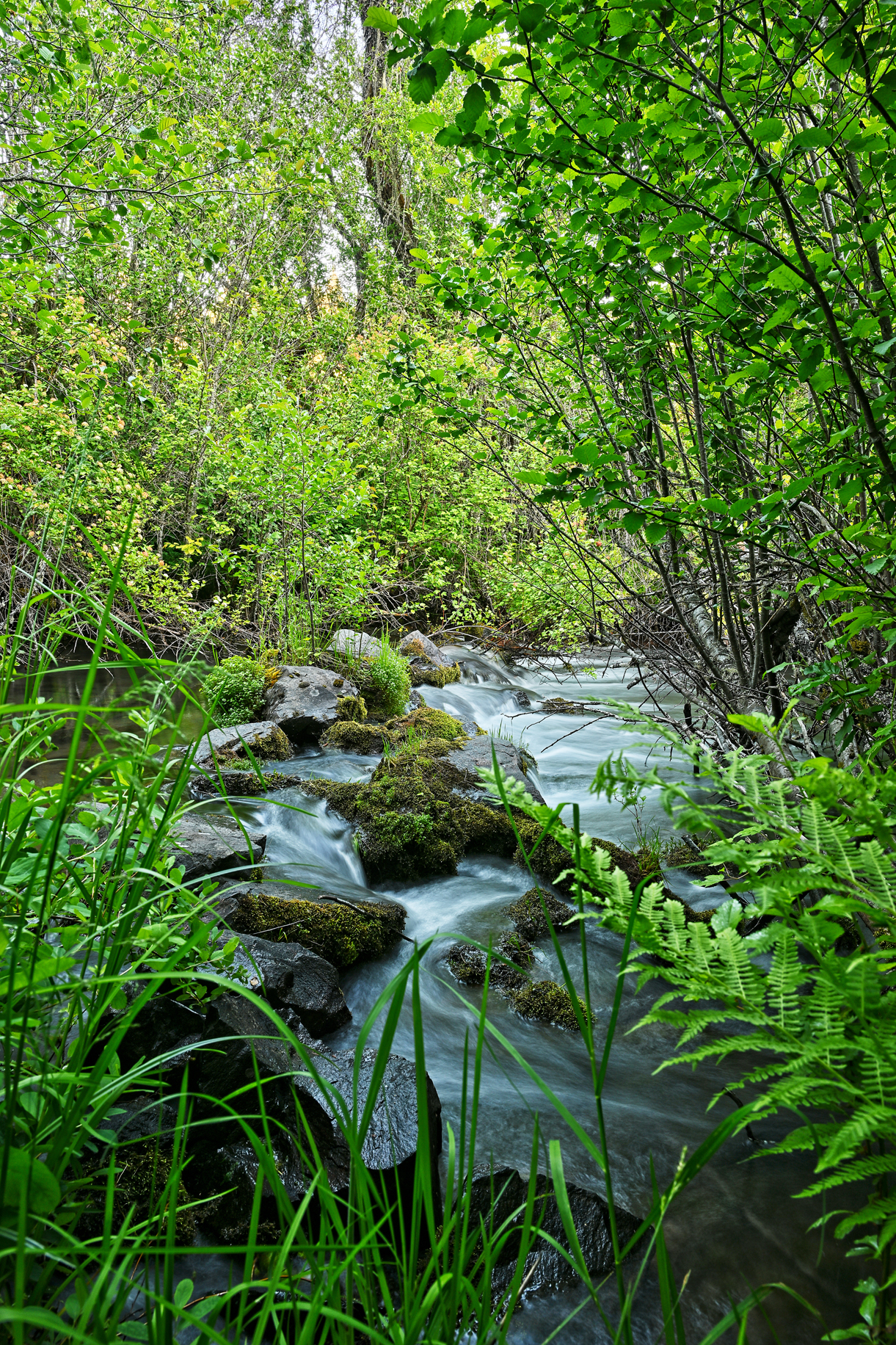 Inter Mountain Ranch