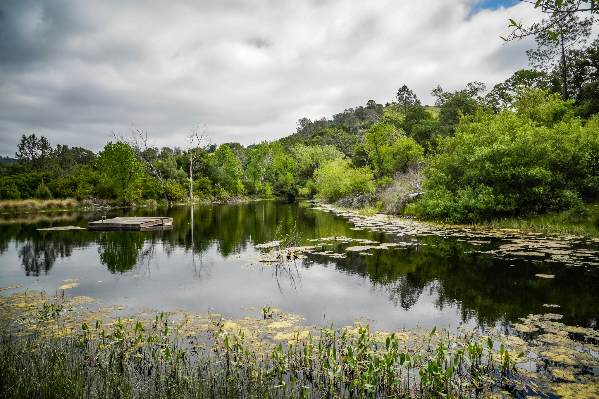 Listing Image 86