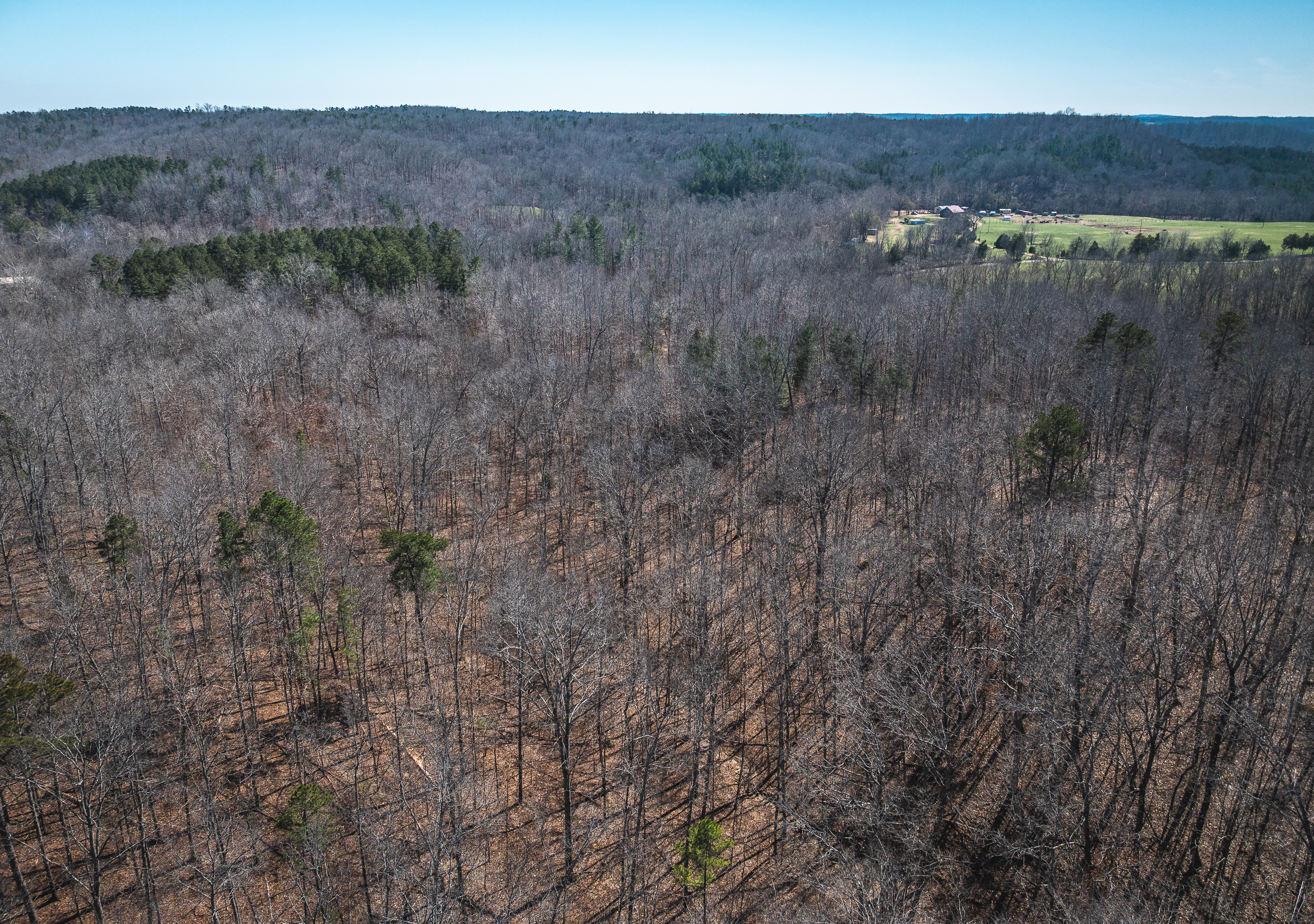 58 Acre Wildlife Retreat